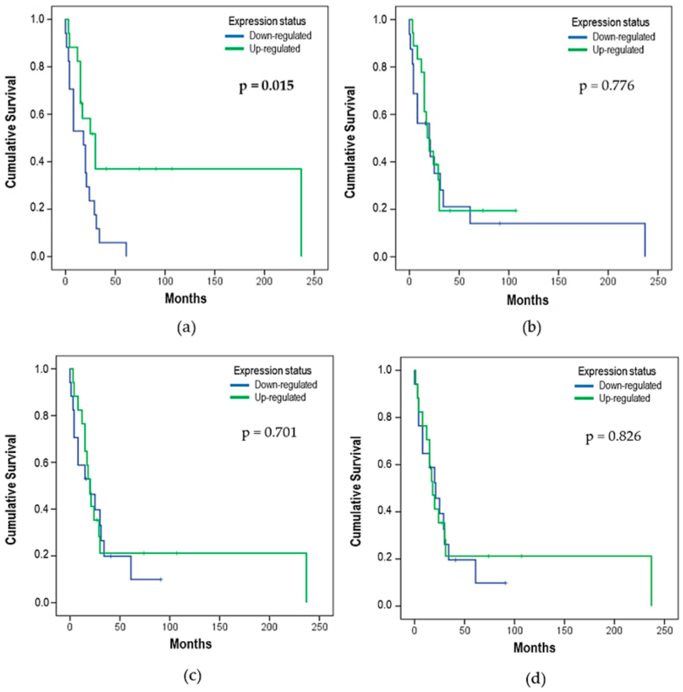 Cells 08 01452 g004 Cells 08 01452 g004