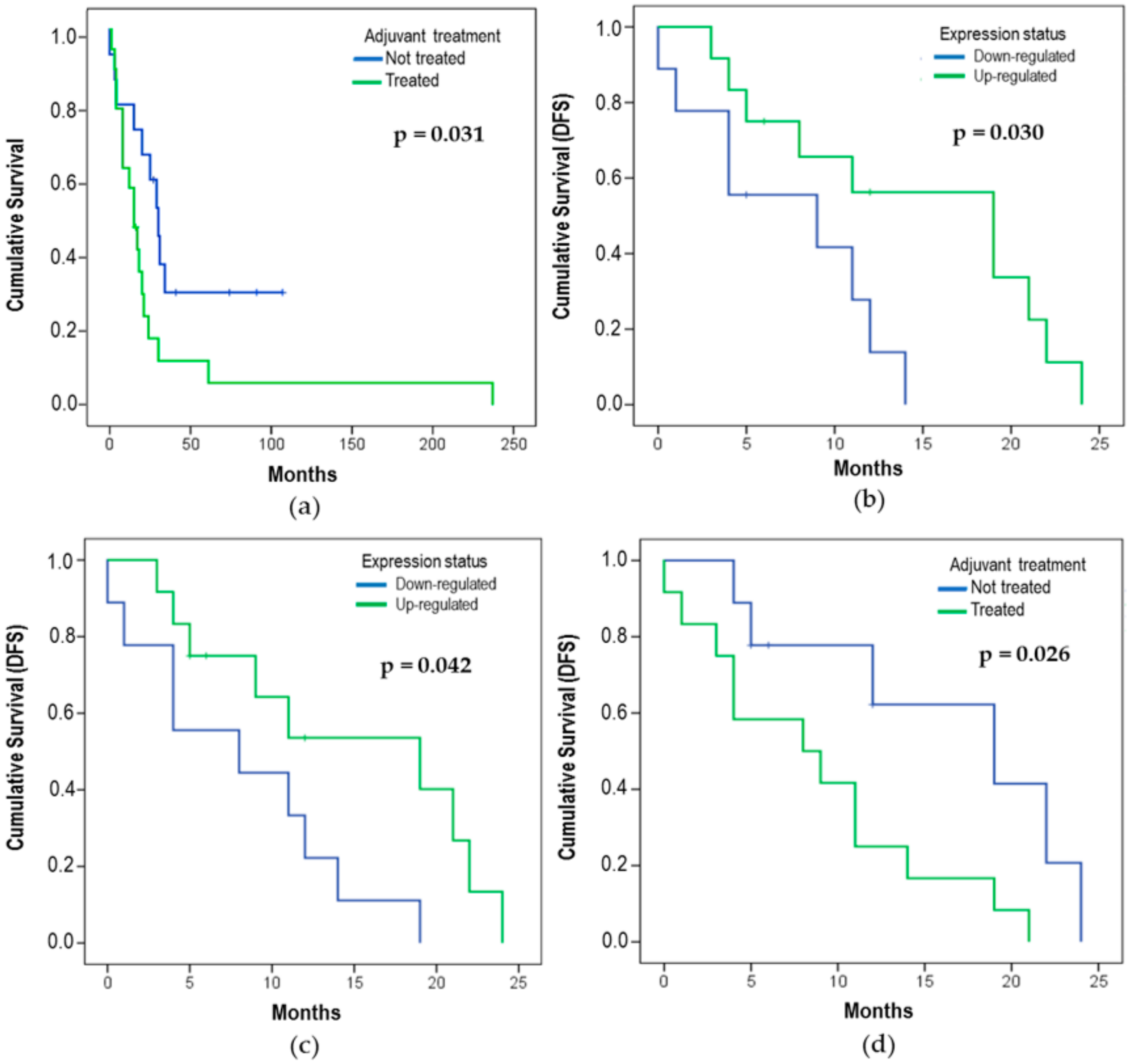 Cells 08 01452 g005 Cells 08 01452 g005