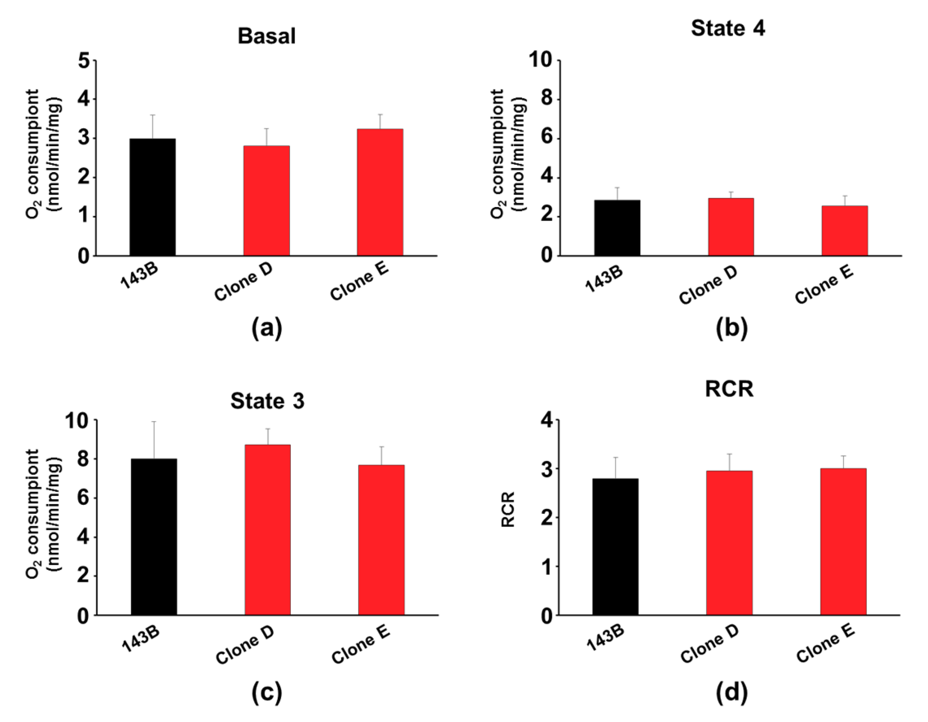 Cells 08 01454 g004 Cells 08 01454 g004