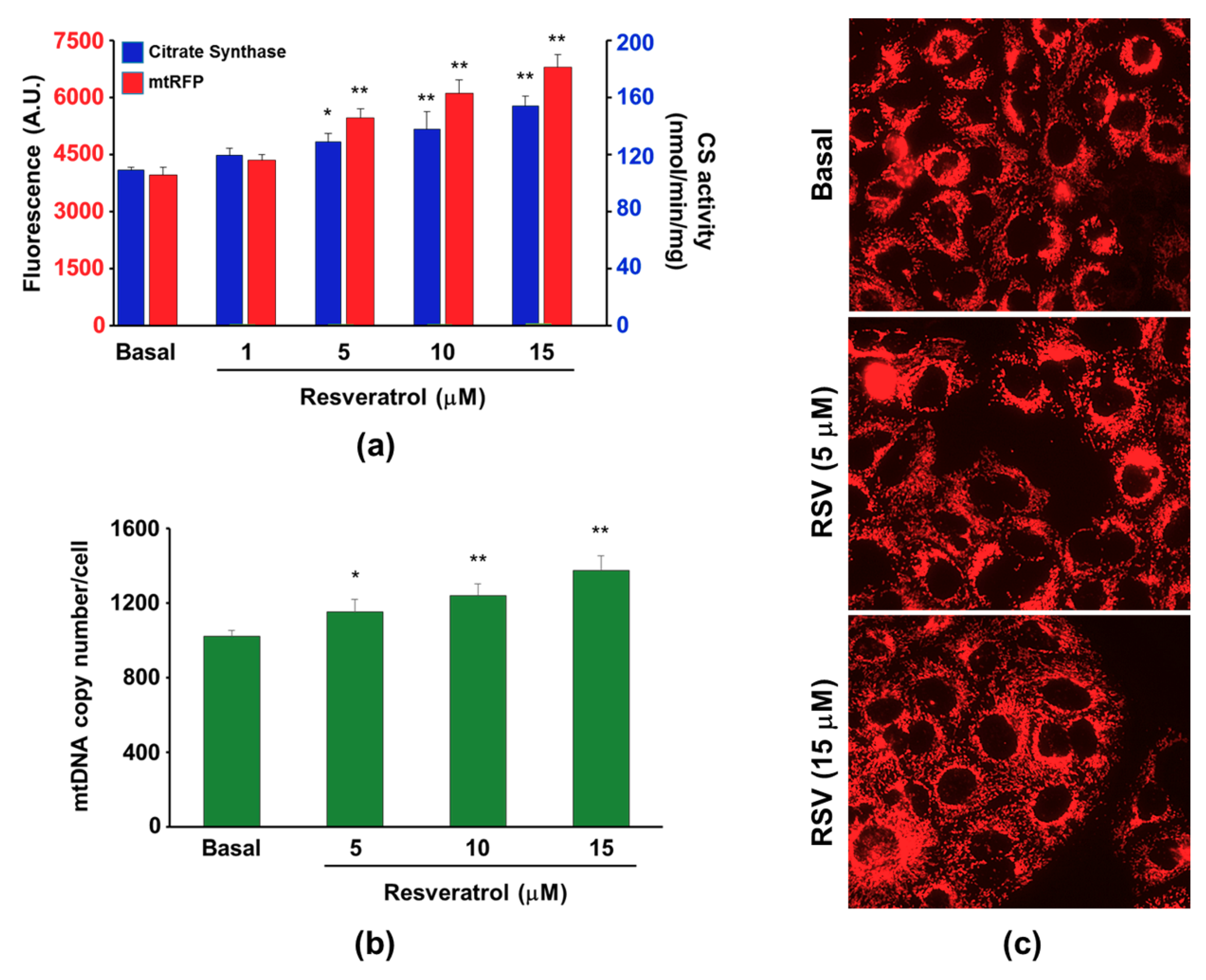 Cells 08 01454 g006 Cells 08 01454 g006