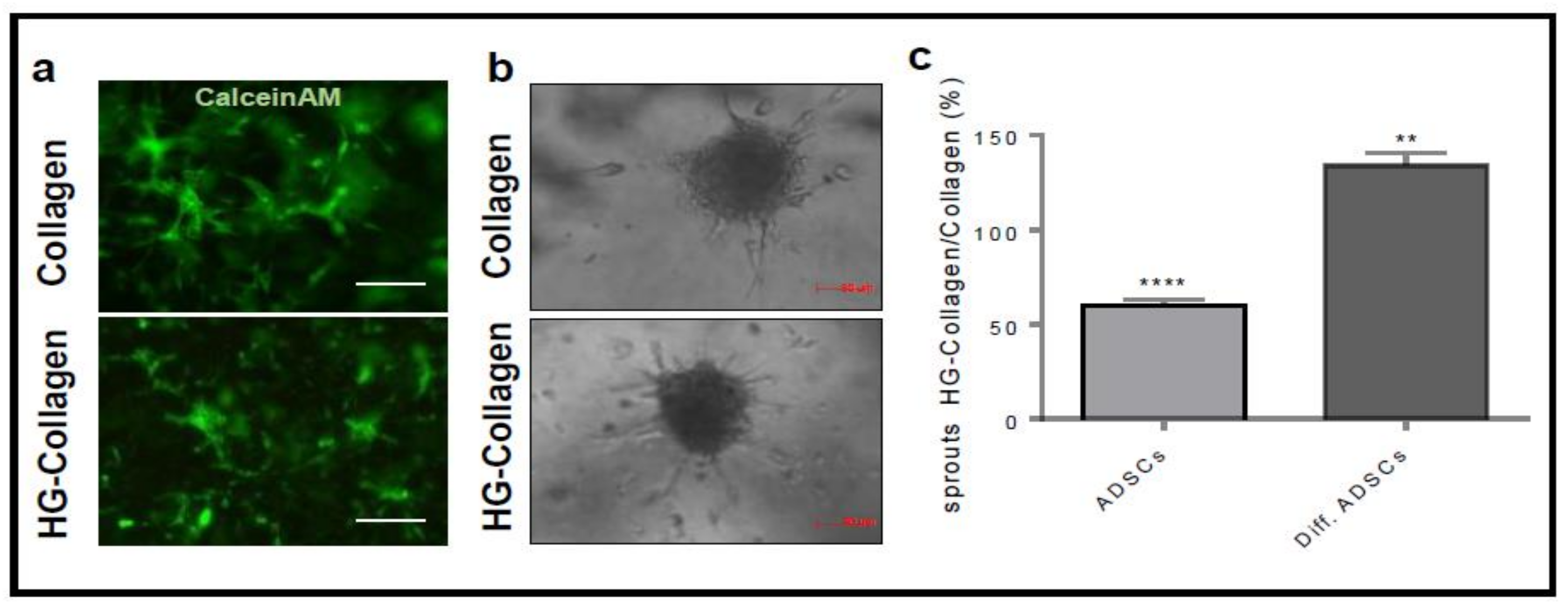 Cells 08 01457 g005 Cells 08 01457 g005