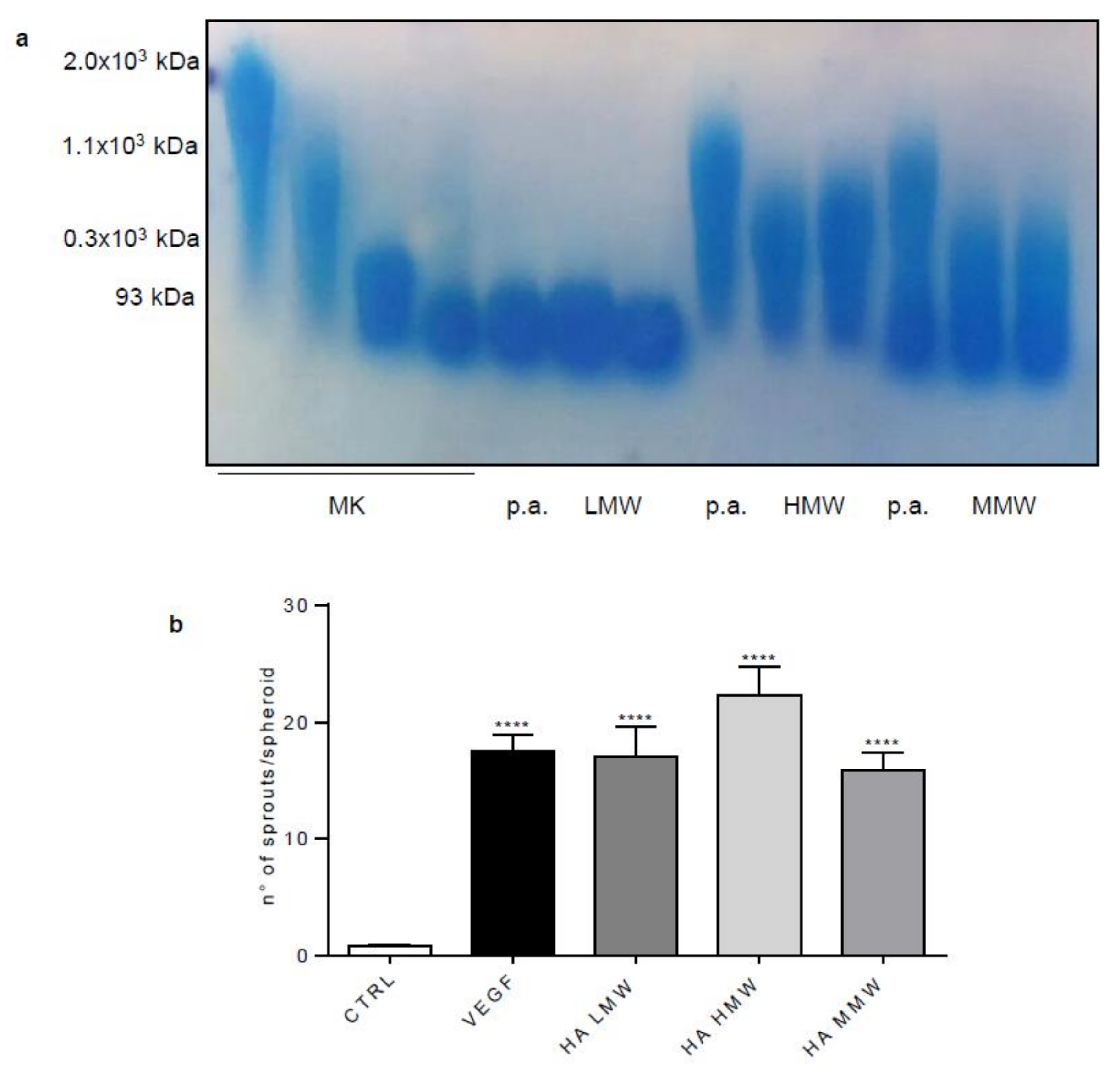 Cells 08 01457 g0a1 Cells 08 01457 g0a1
