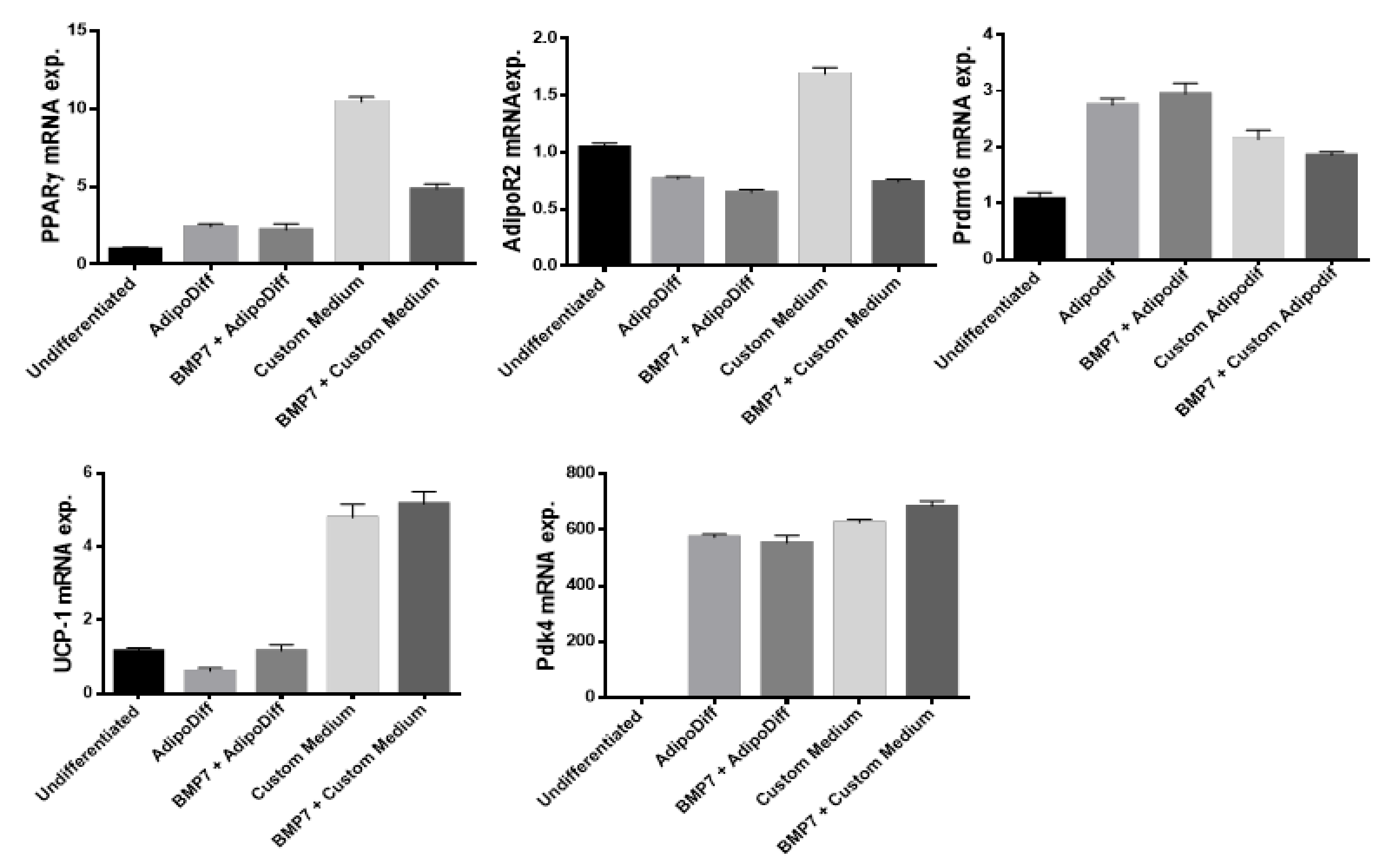 Cells 08 01457 g0a2 Cells 08 01457 g0a2