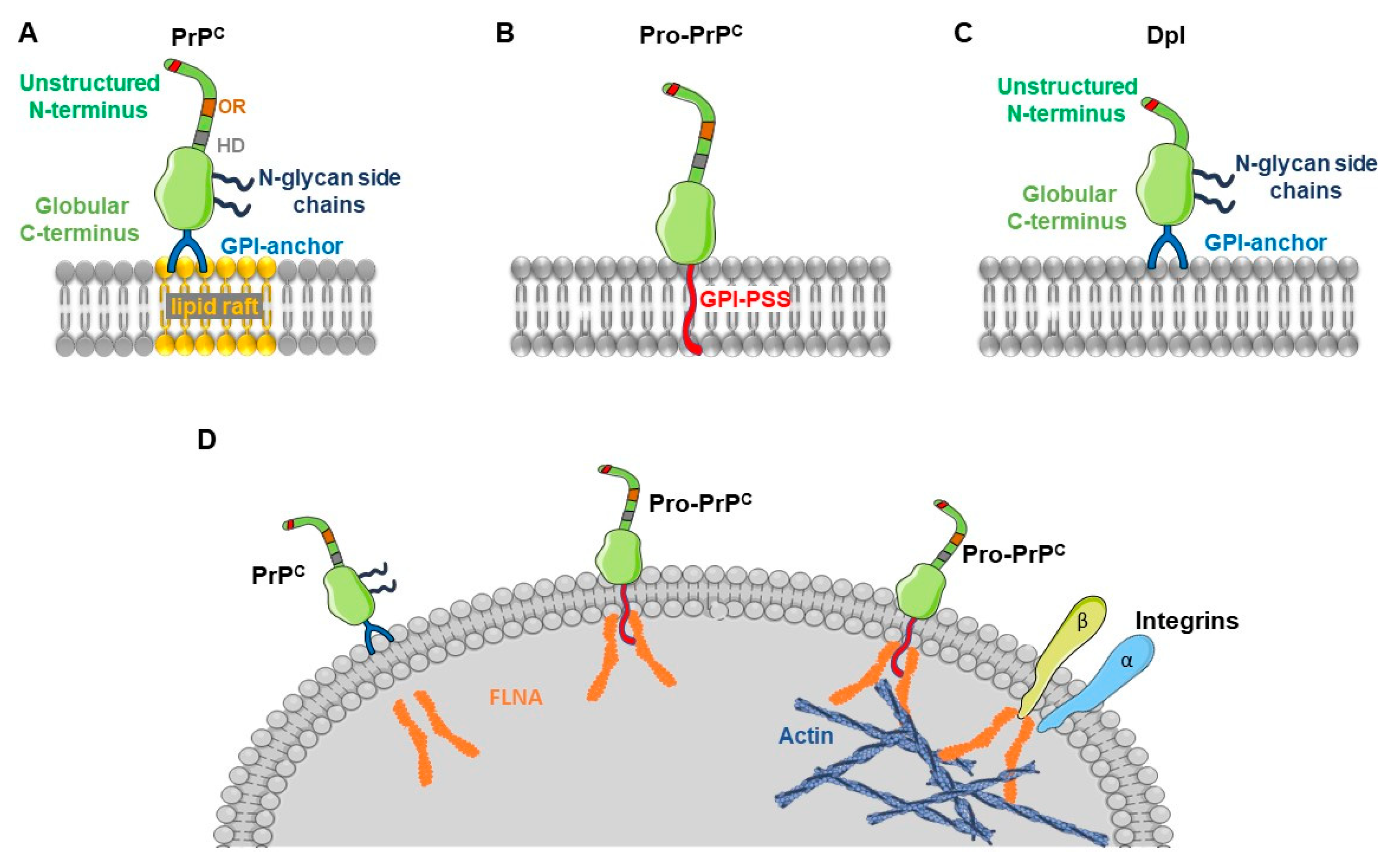 Cells 08 01458 g002 Cells 08 01458 g002