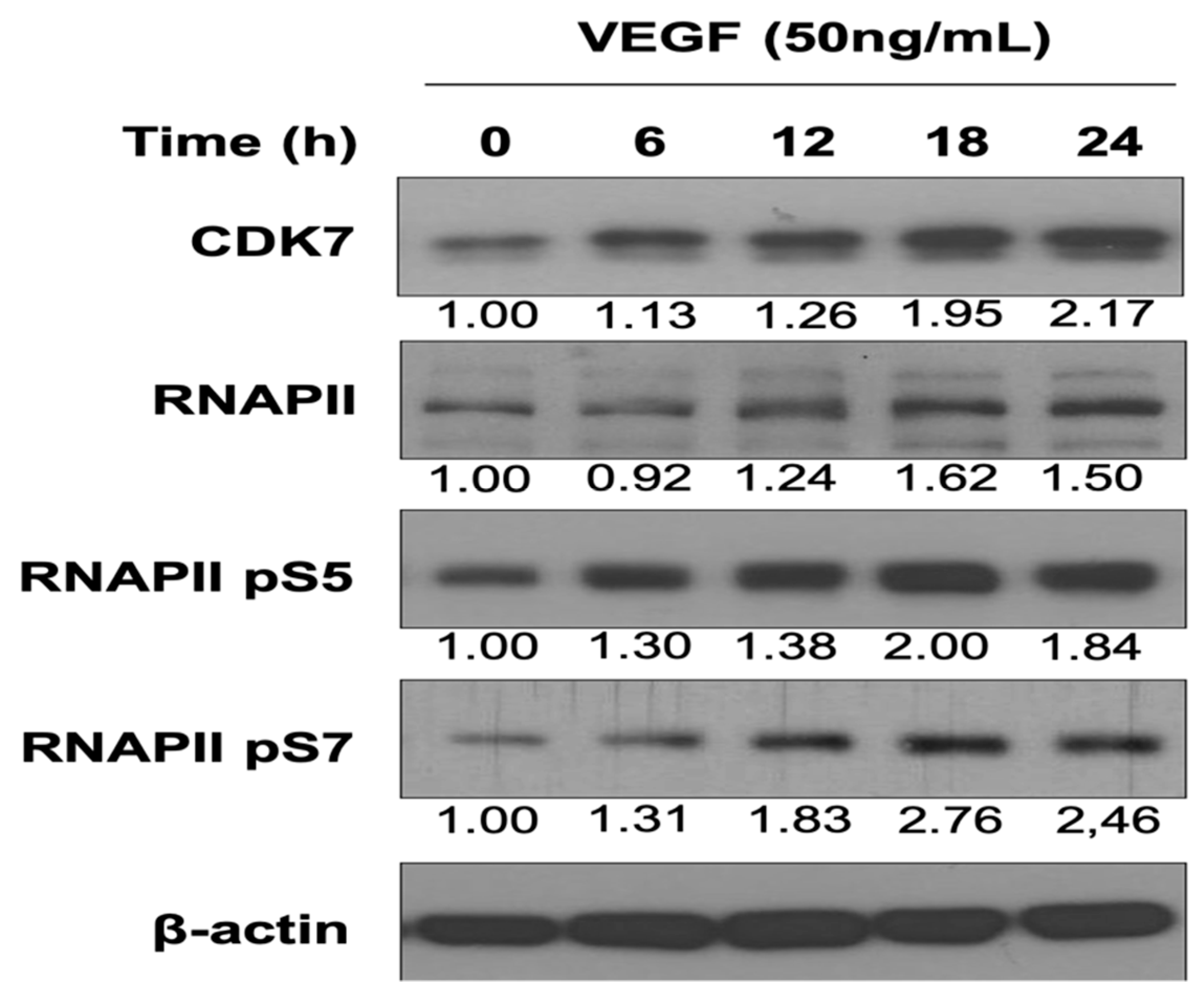 Cells 08 01469 g001