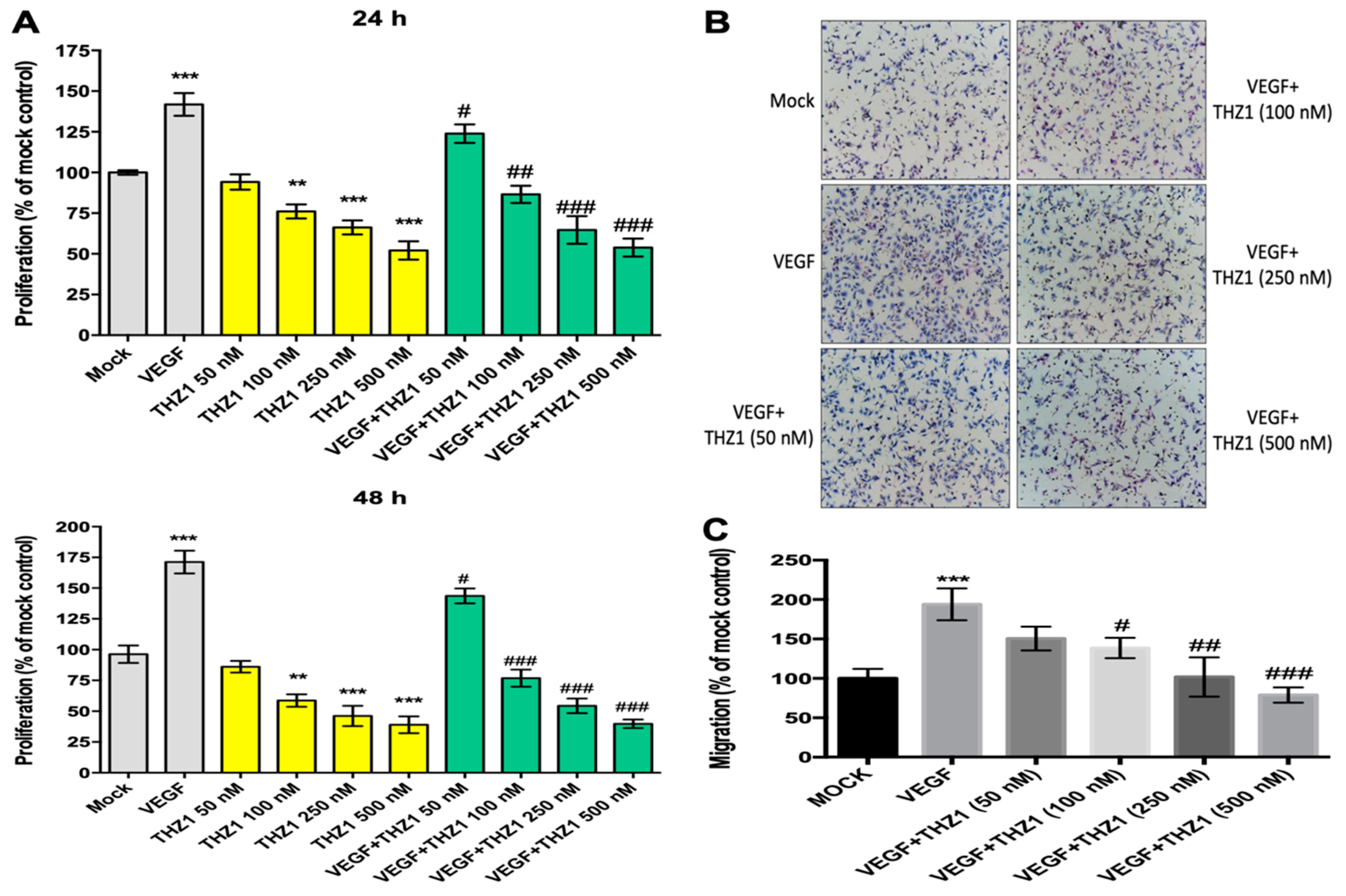Cells 08 01469 g002