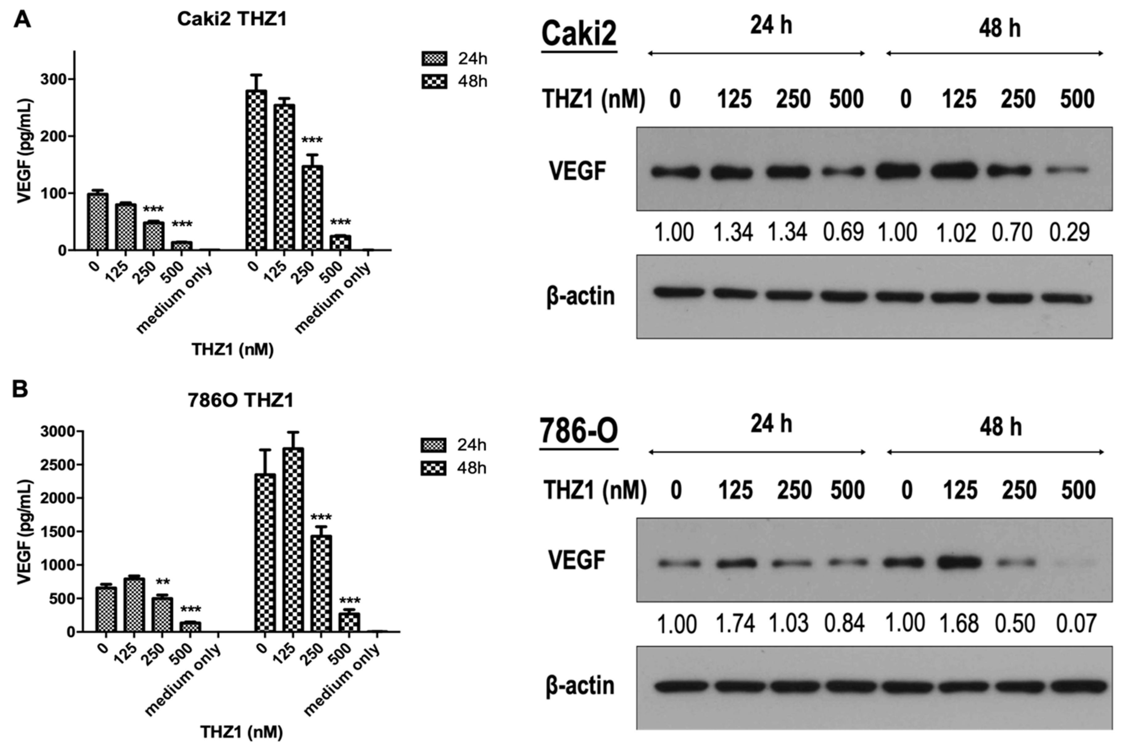 Cells 08 01469 g005