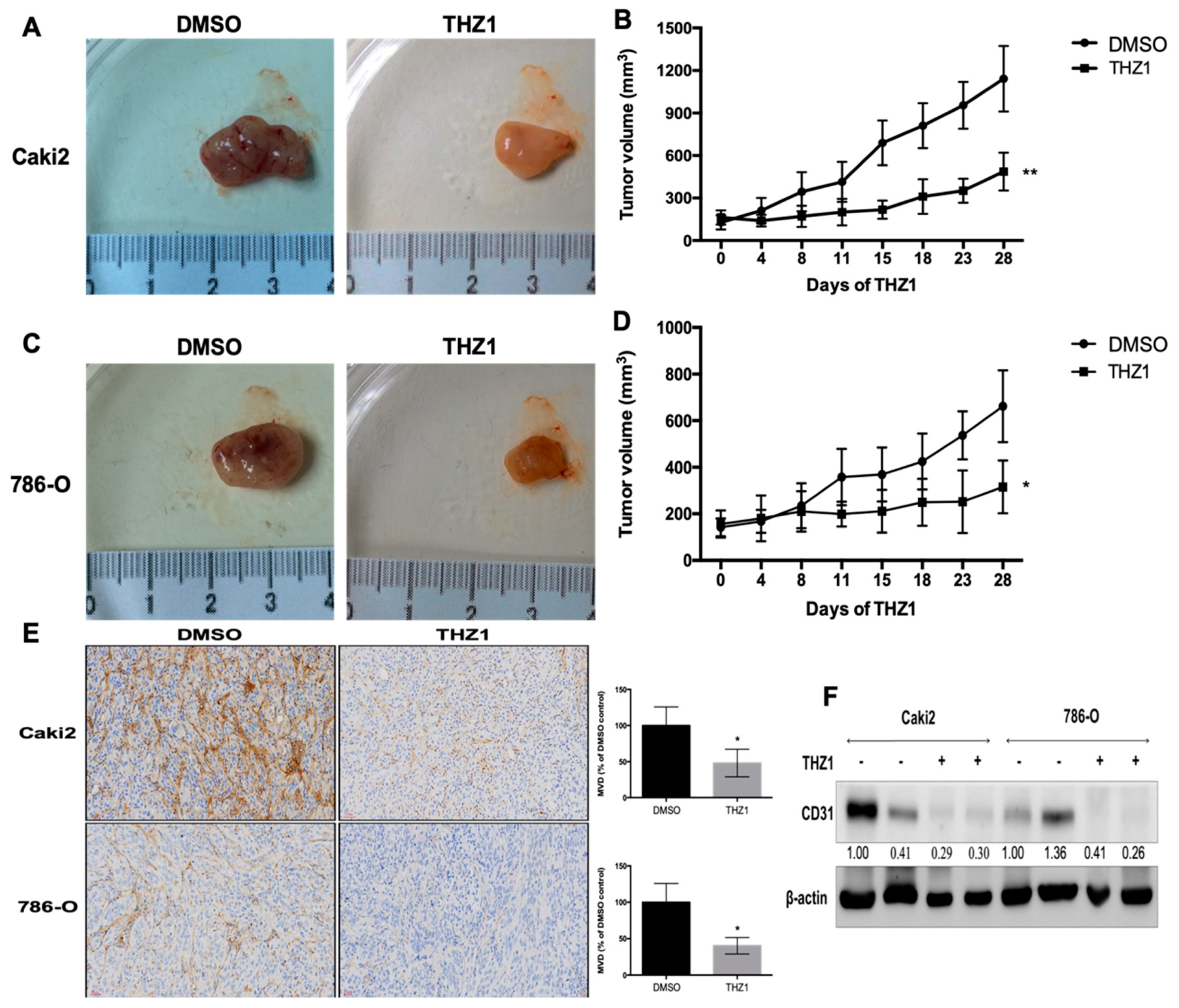 Cells 08 01469 g006