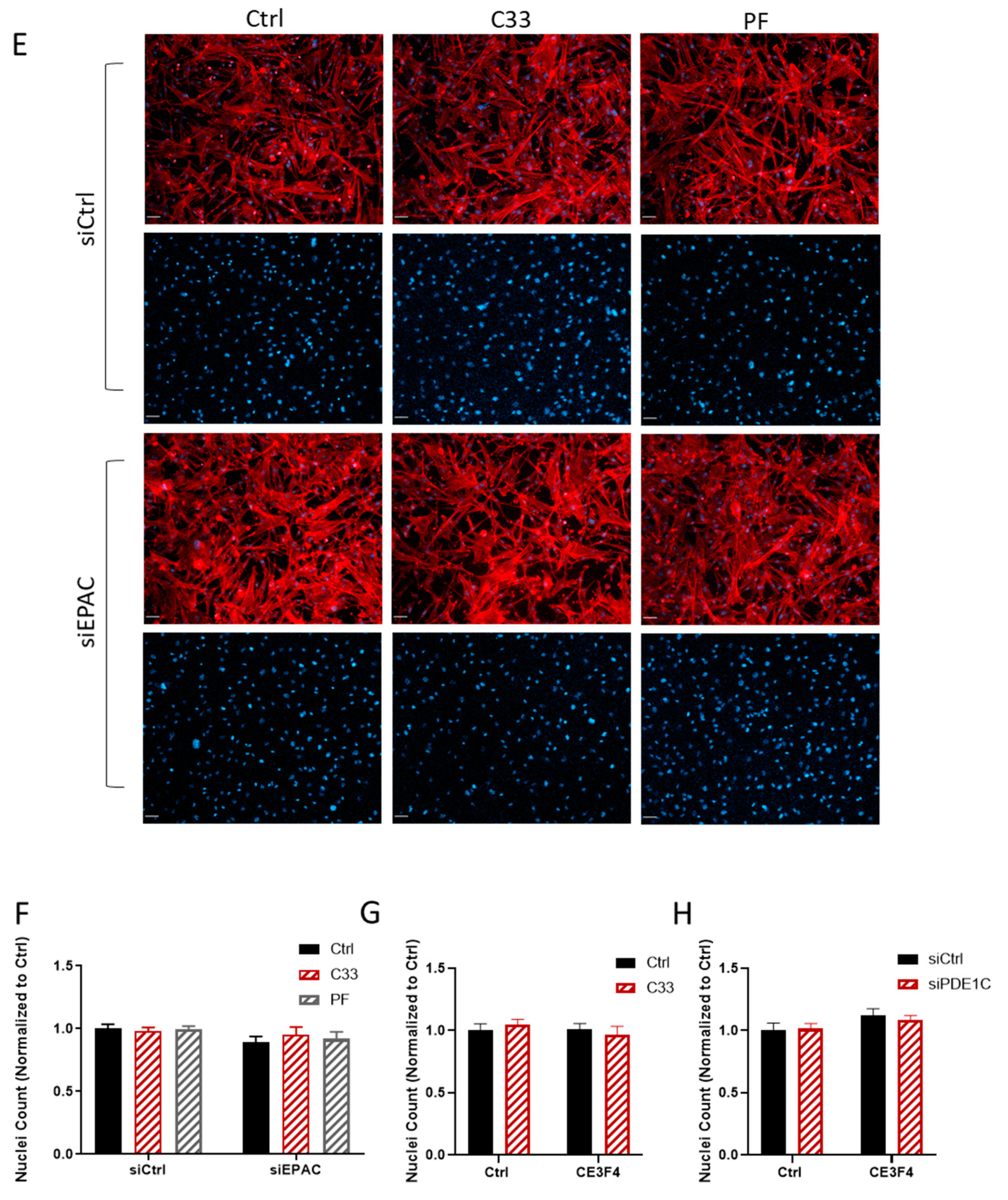 Cells 08 01473 g003b Cells 08 01473 g003b
