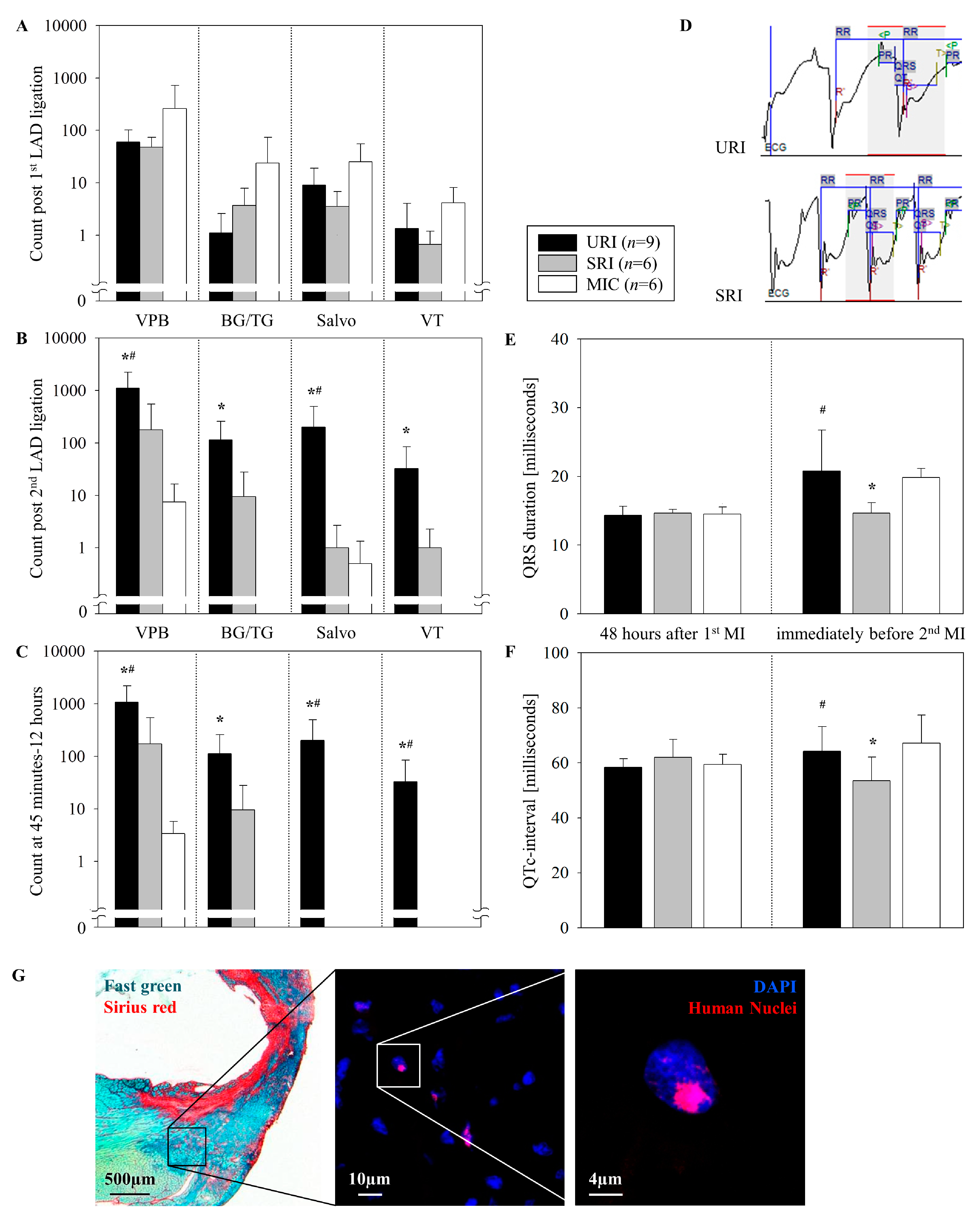 Cells 08 01474 g003 Cells 08 01474 g003
