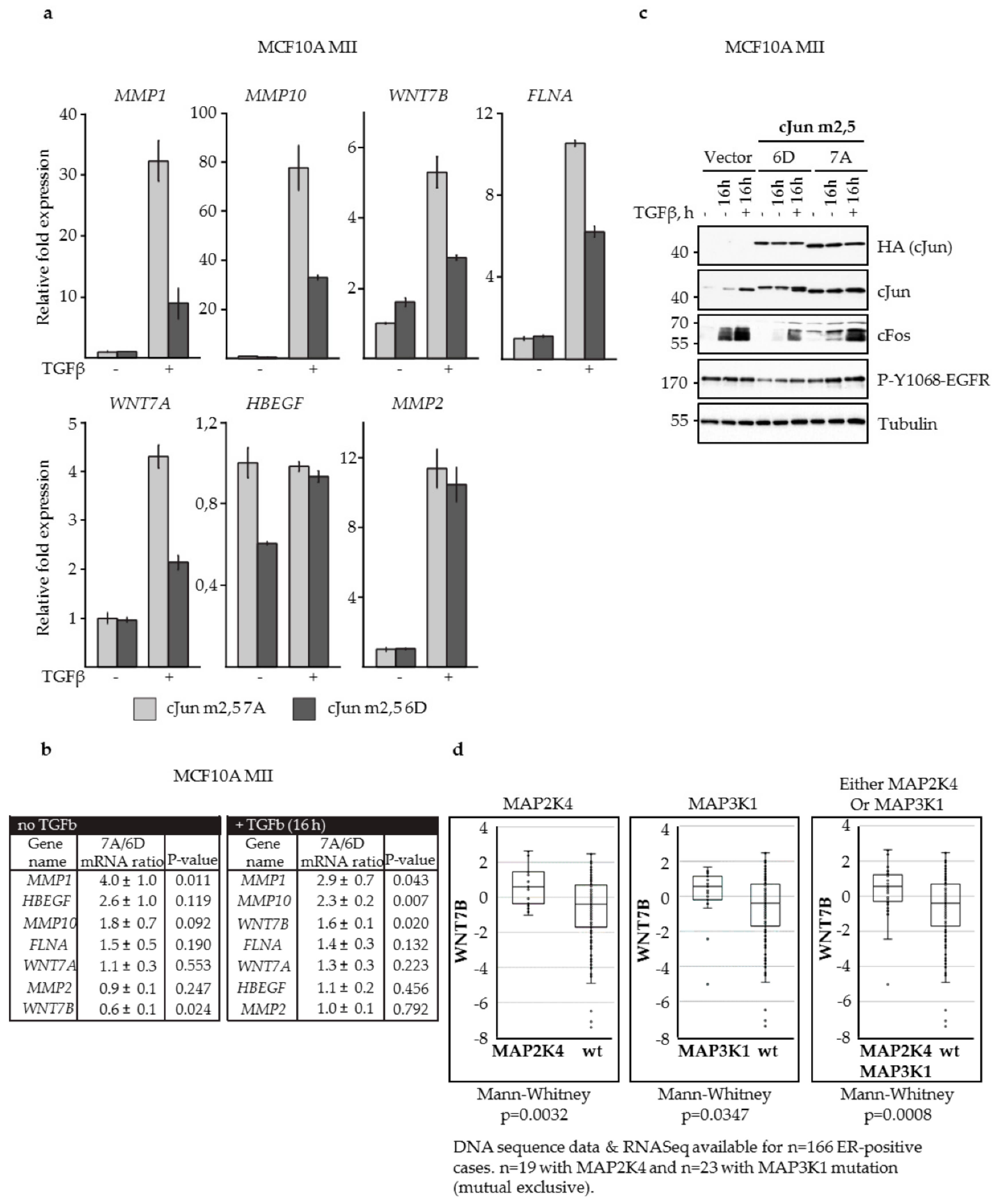 Cells 08 01481 g007 Cells 08 01481 g007