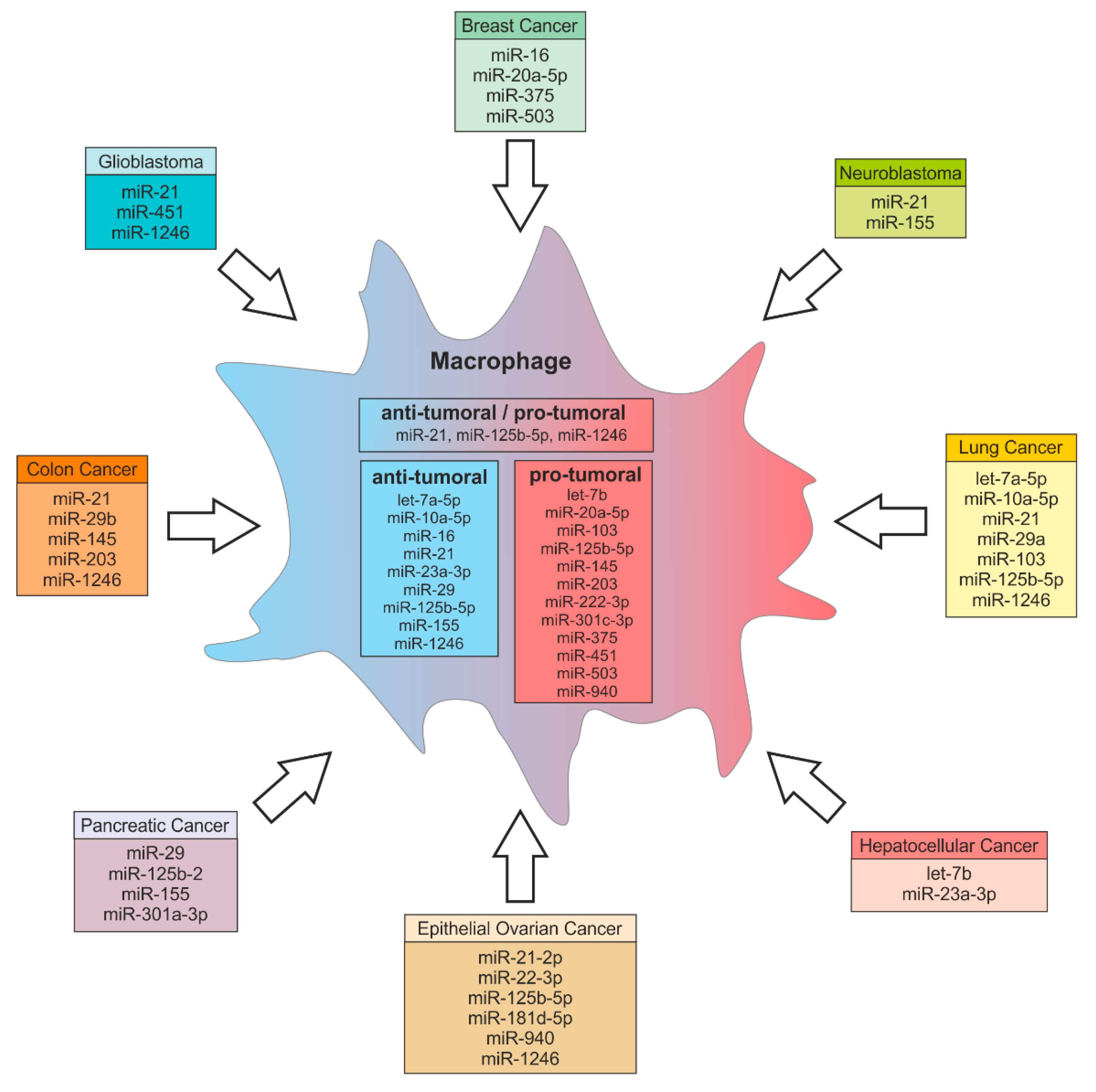 Cells 08 01482 g002 Cells 08 01482 g002