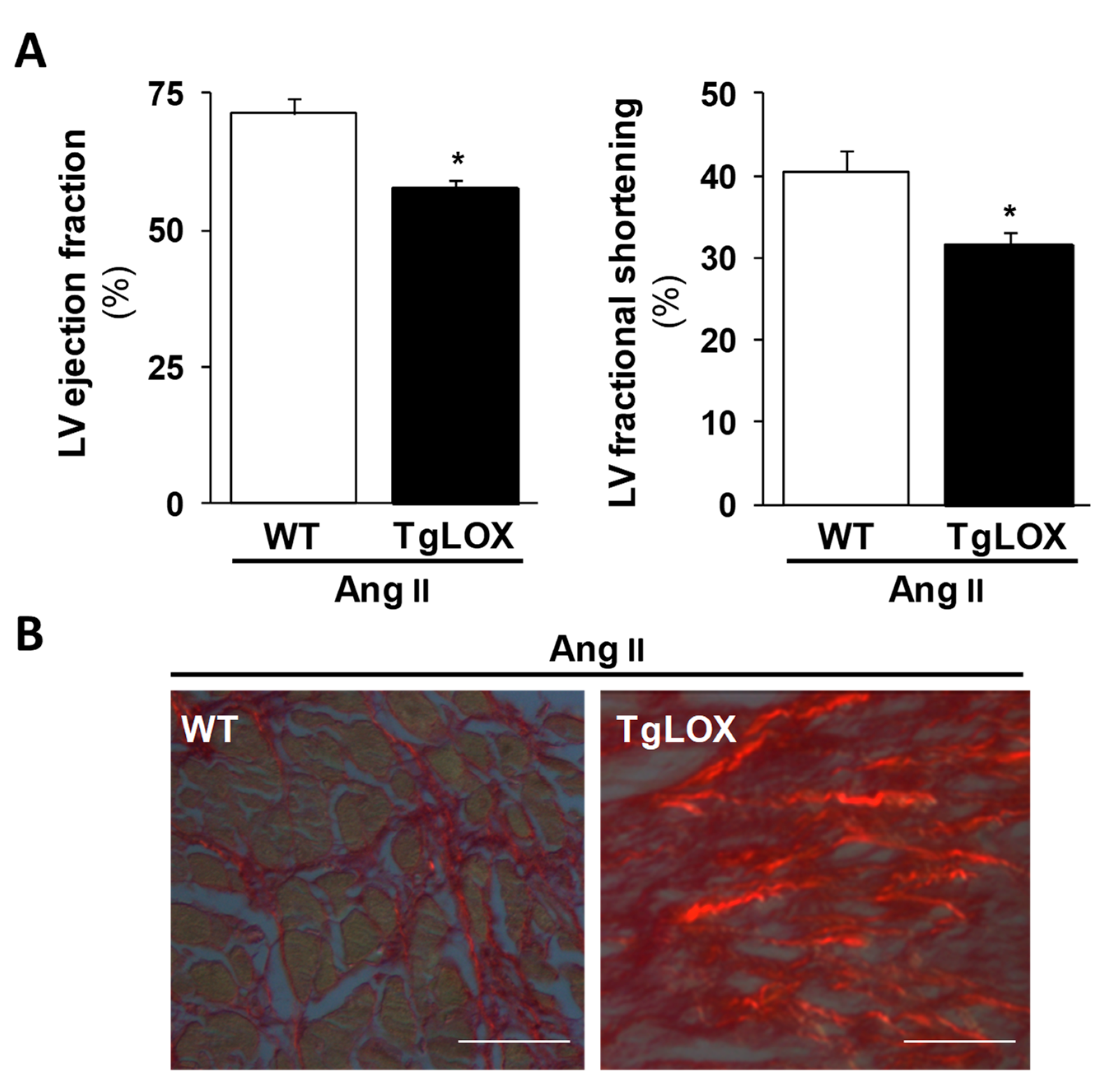 Cells 08 01483 g005 Cells 08 01483 g005