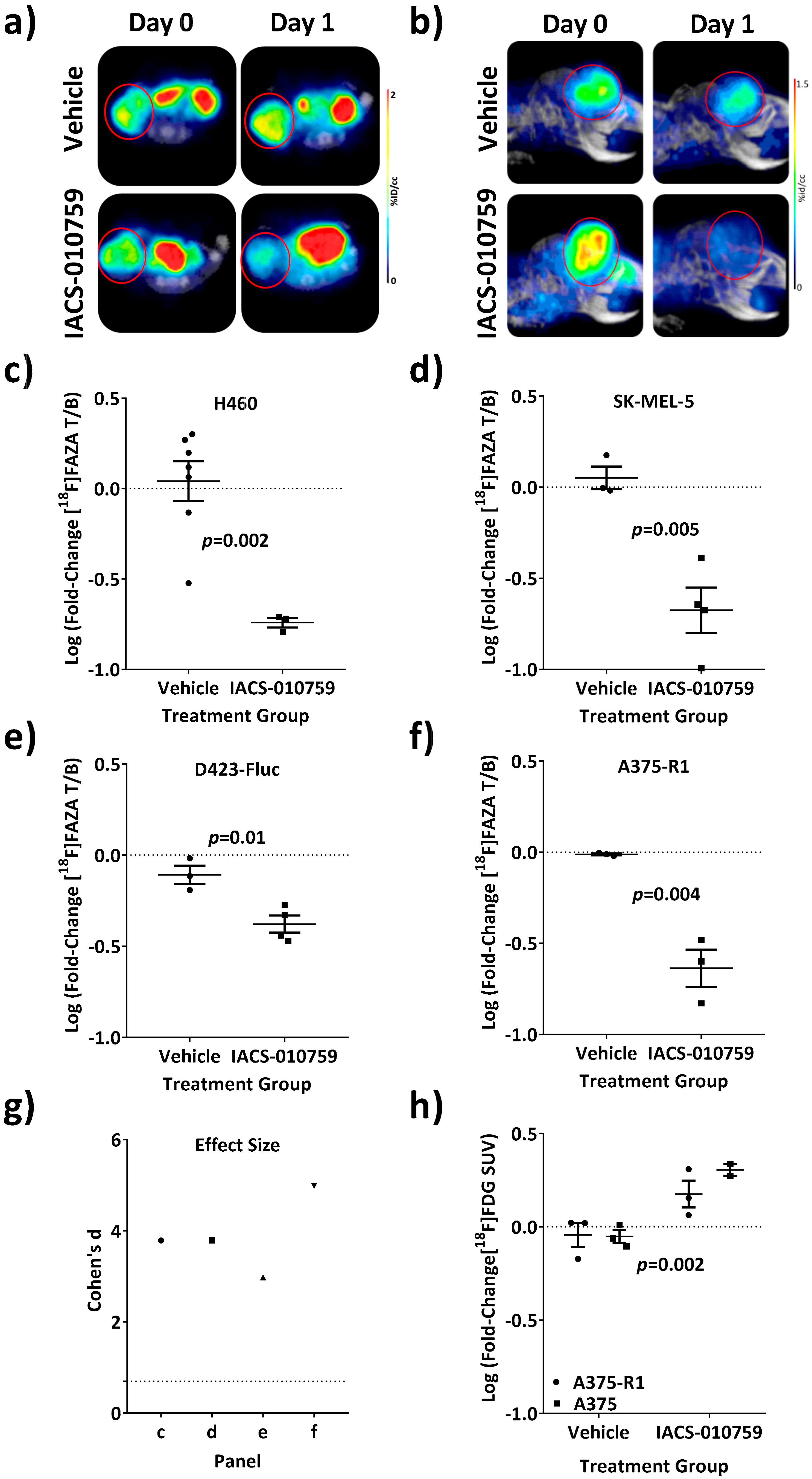 Cells 08 01487 g004 Cells 08 01487 g004