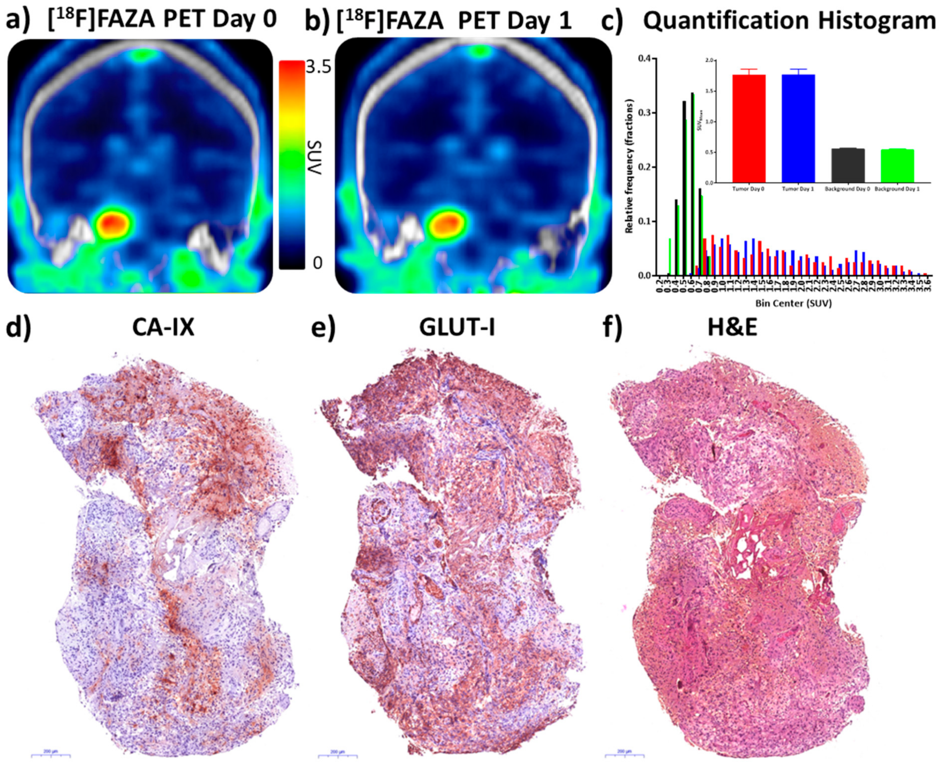 Cells 08 01487 g007 Cells 08 01487 g007