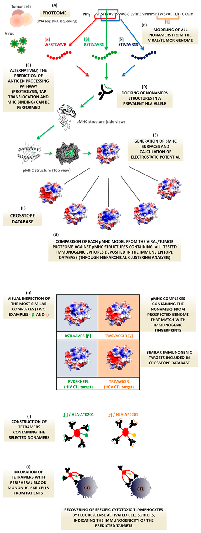 Cells 08 01488 g001