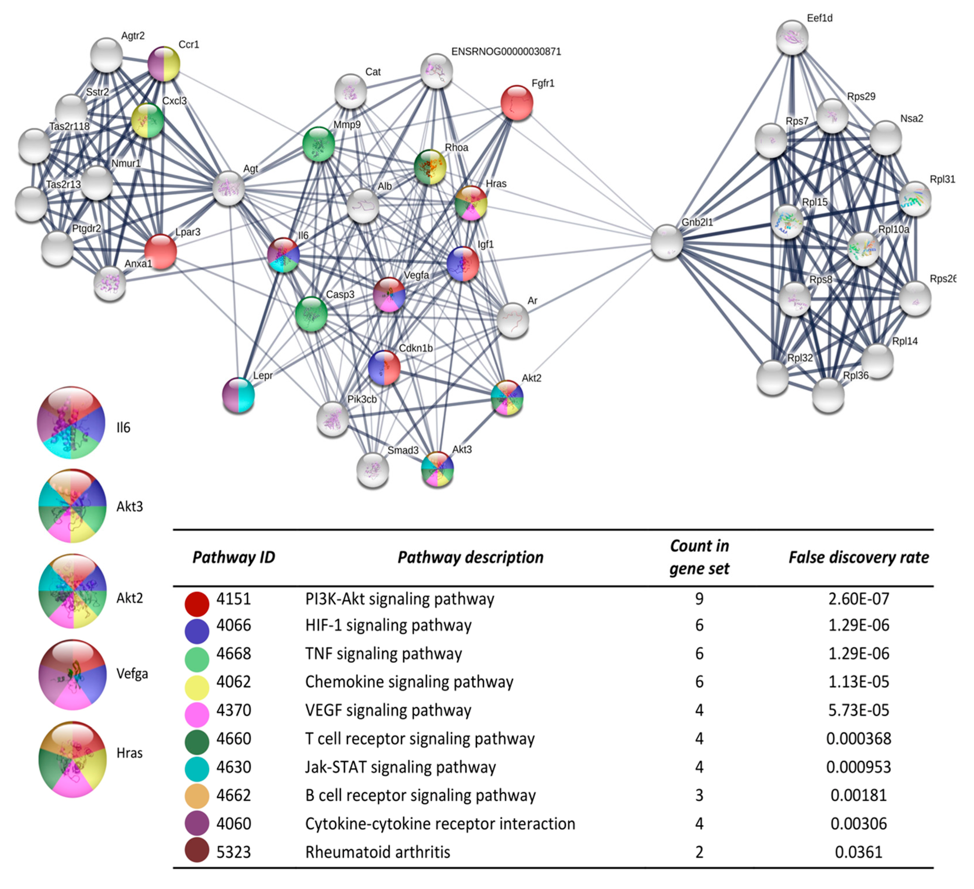 Cells 08 01493 g003 Cells 08 01493 g003