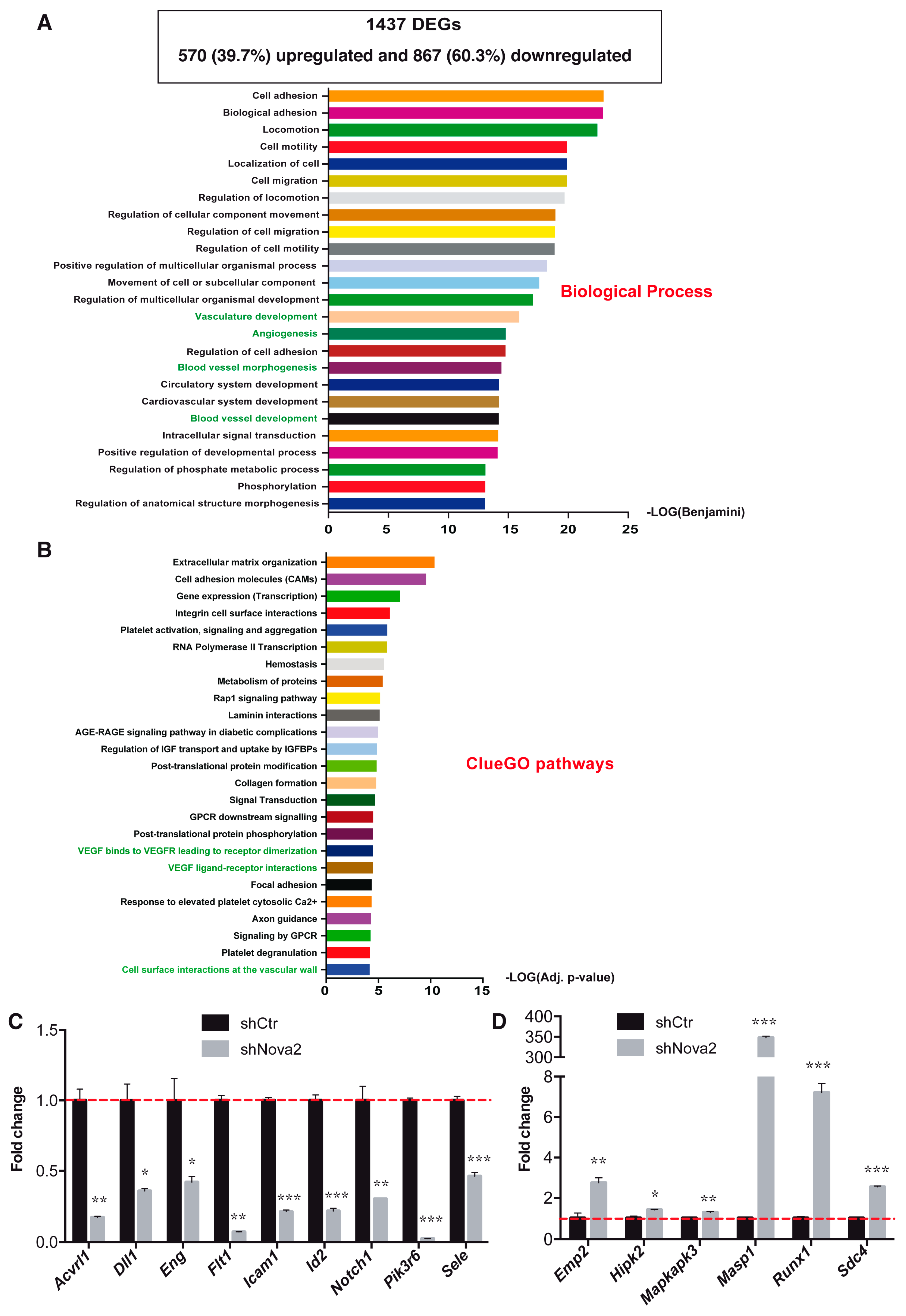 Cells 08 01498 g001 Cells 08 01498 g001
