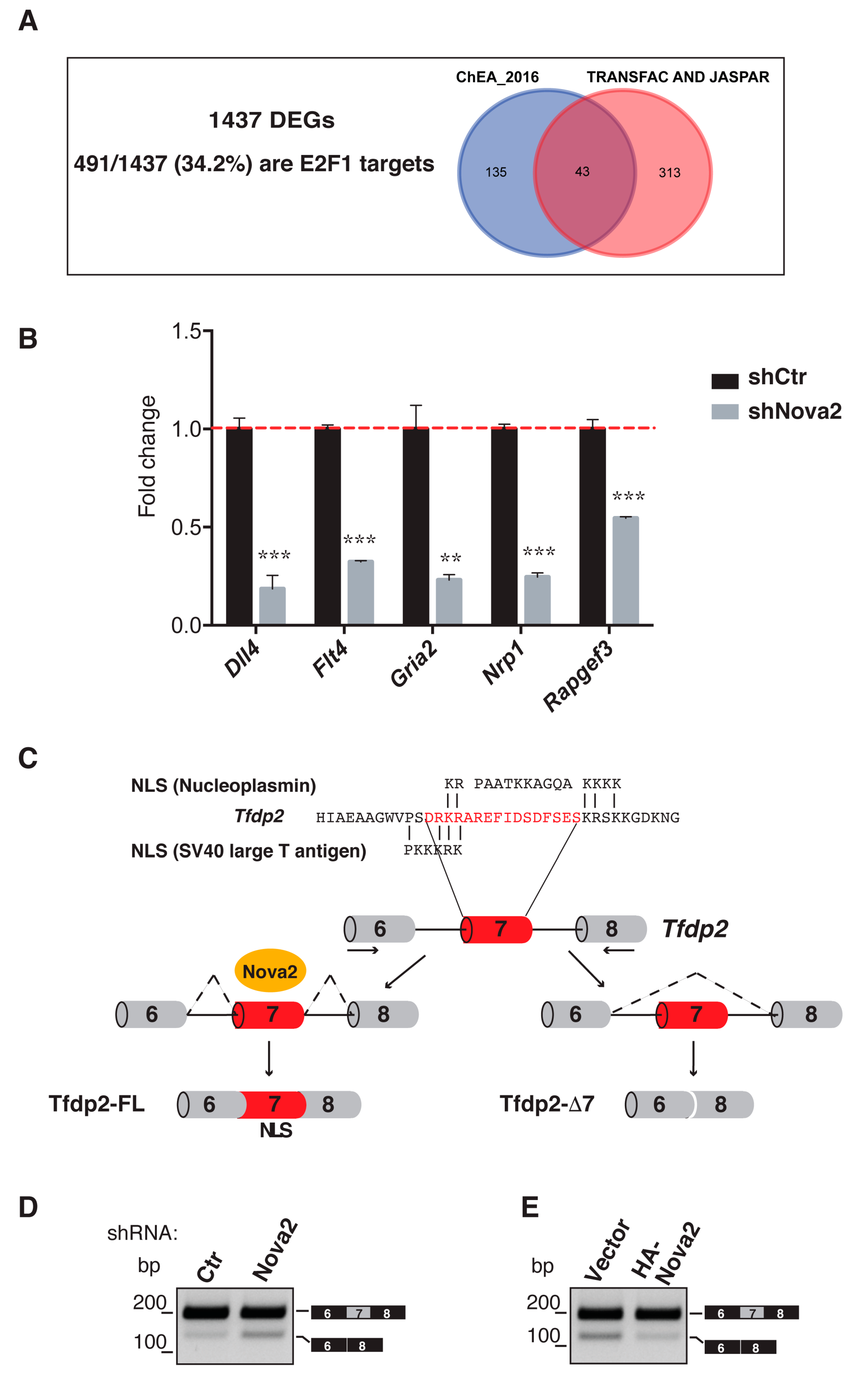 Cells 08 01498 g003 Cells 08 01498 g003