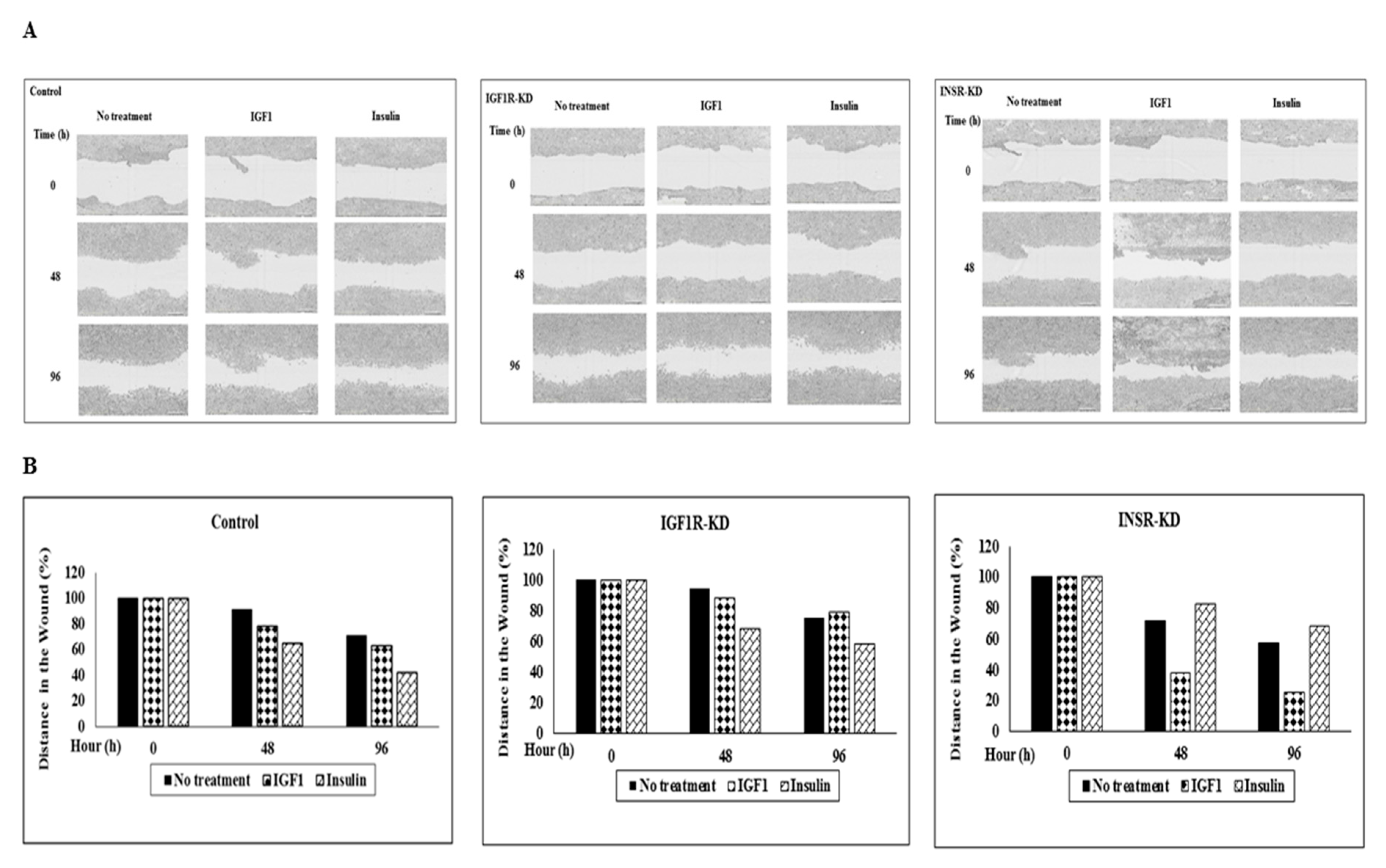 Cells 08 01499 g010 Cells 08 01499 g010