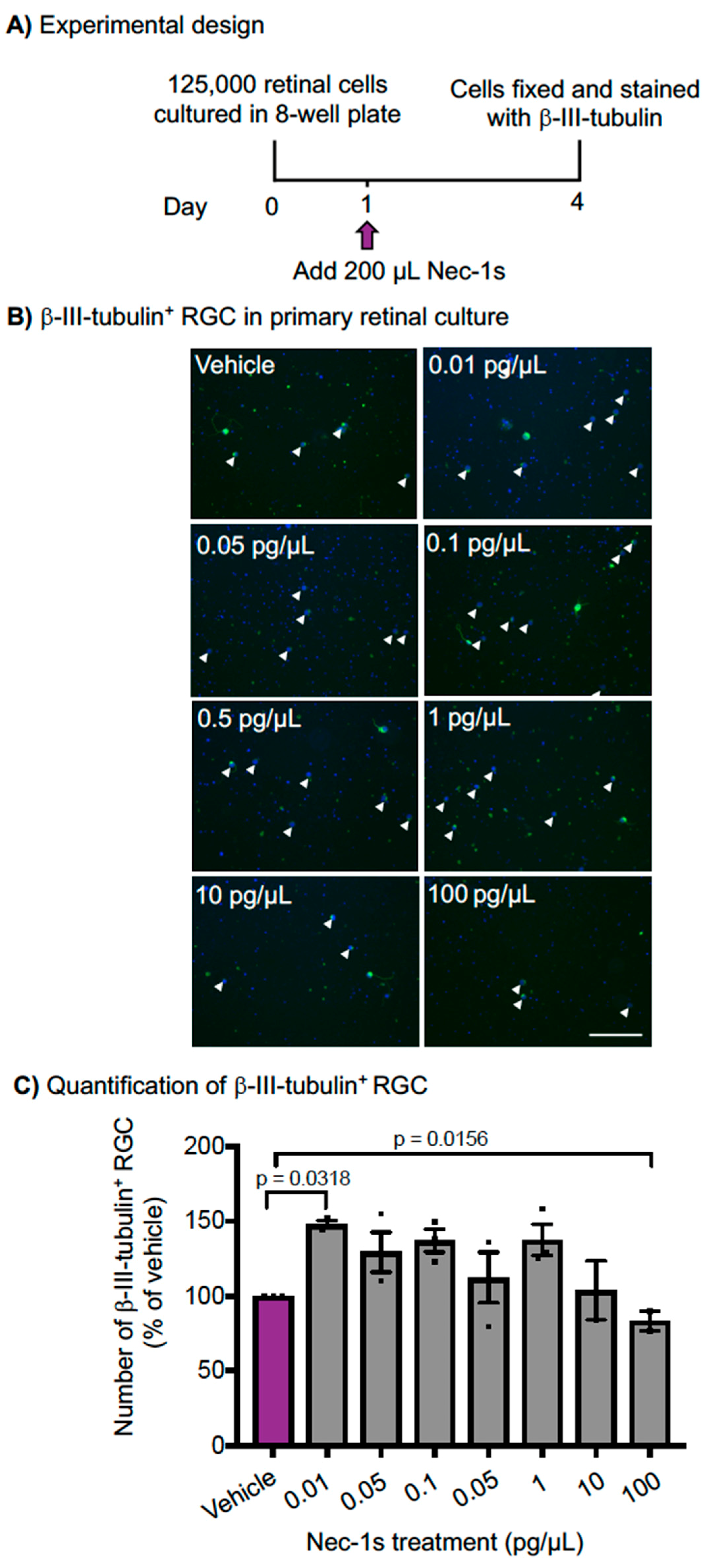 Cells 08 01517 g004 Cells 08 01517 g004