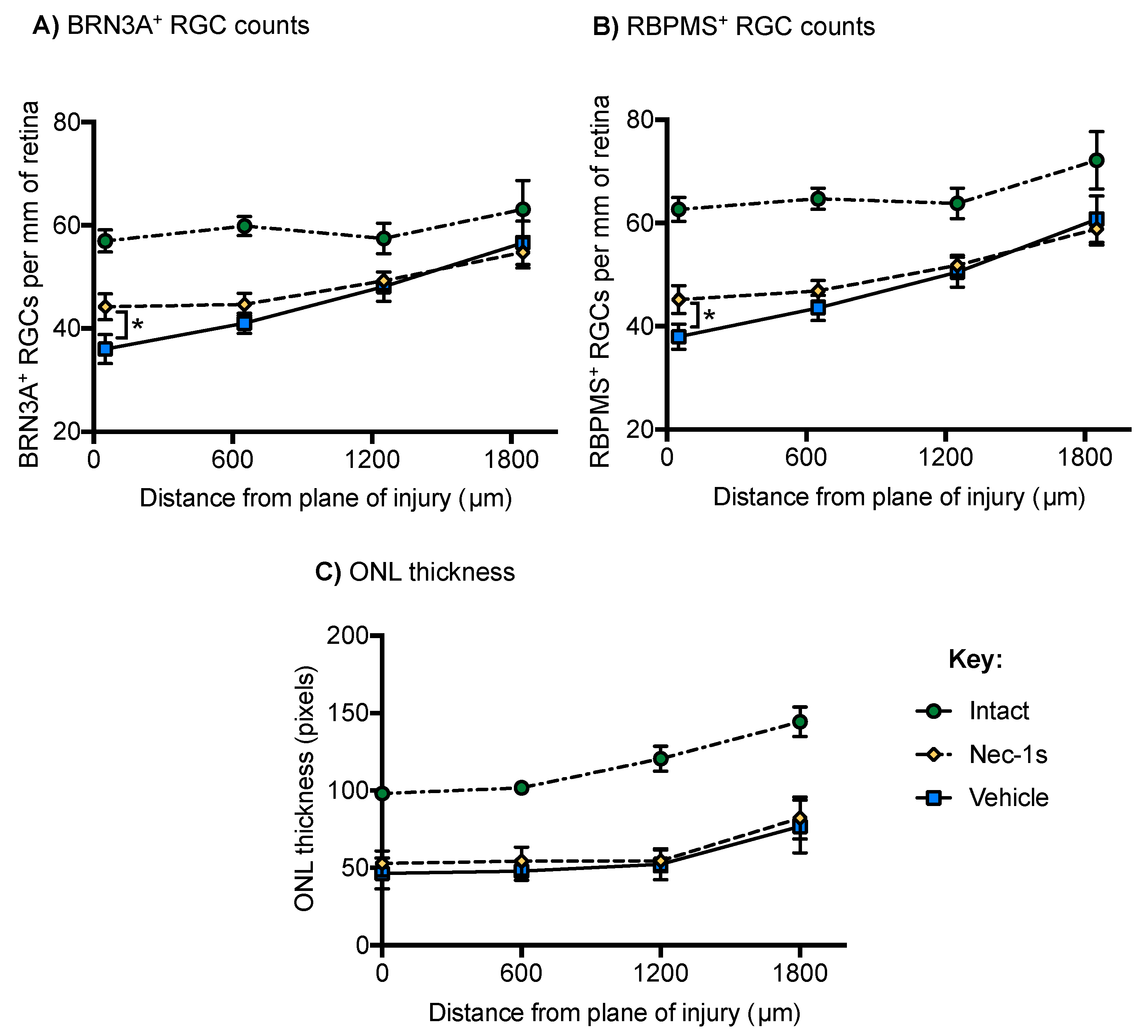 Cells 08 01517 g005 Cells 08 01517 g005