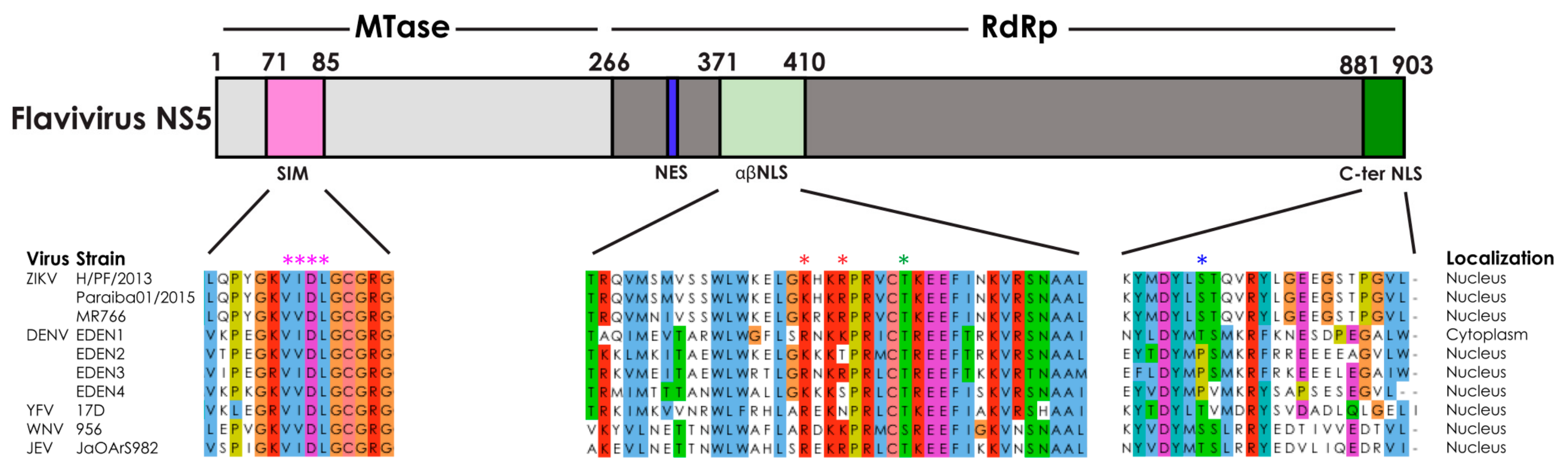 Cells 08 01519 g001 Cells 08 01519 g001
