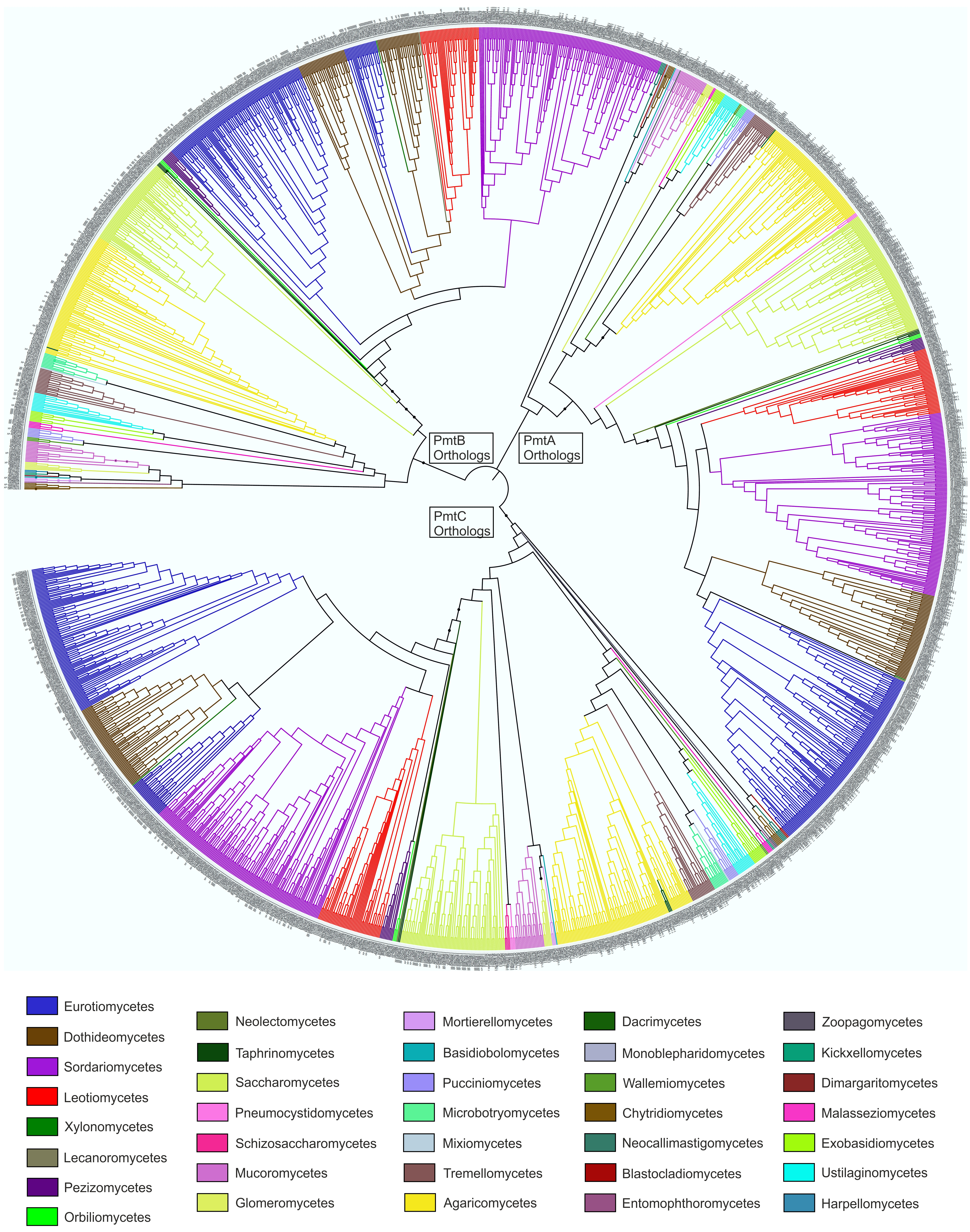 Cells 08 01520 g006 Cells 08 01520 g006