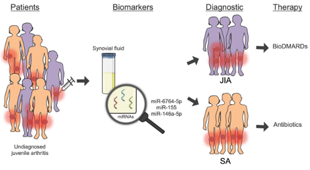 Cosmetic Bacteria Test Kit