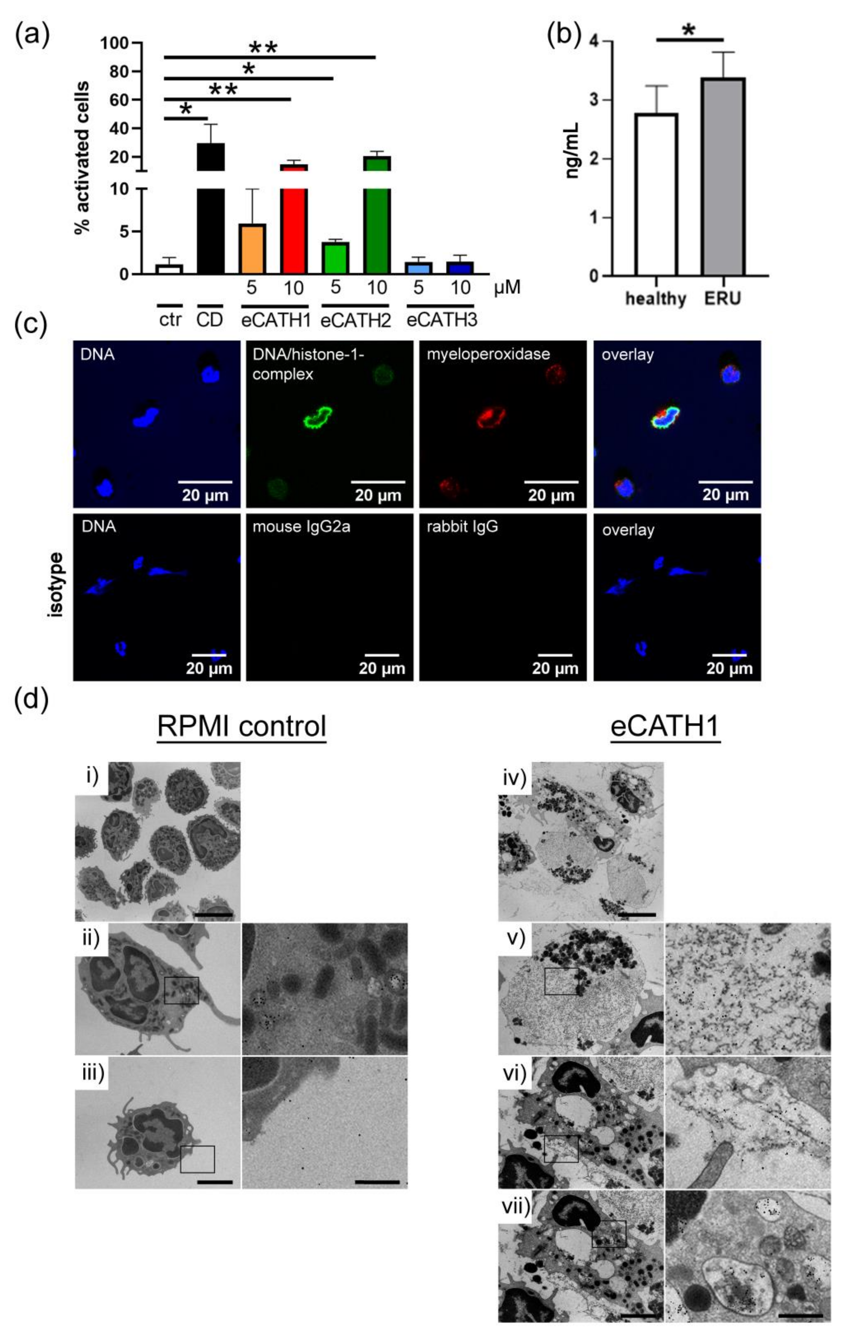 Cells 08 01528 g006 Cells 08 01528 g006