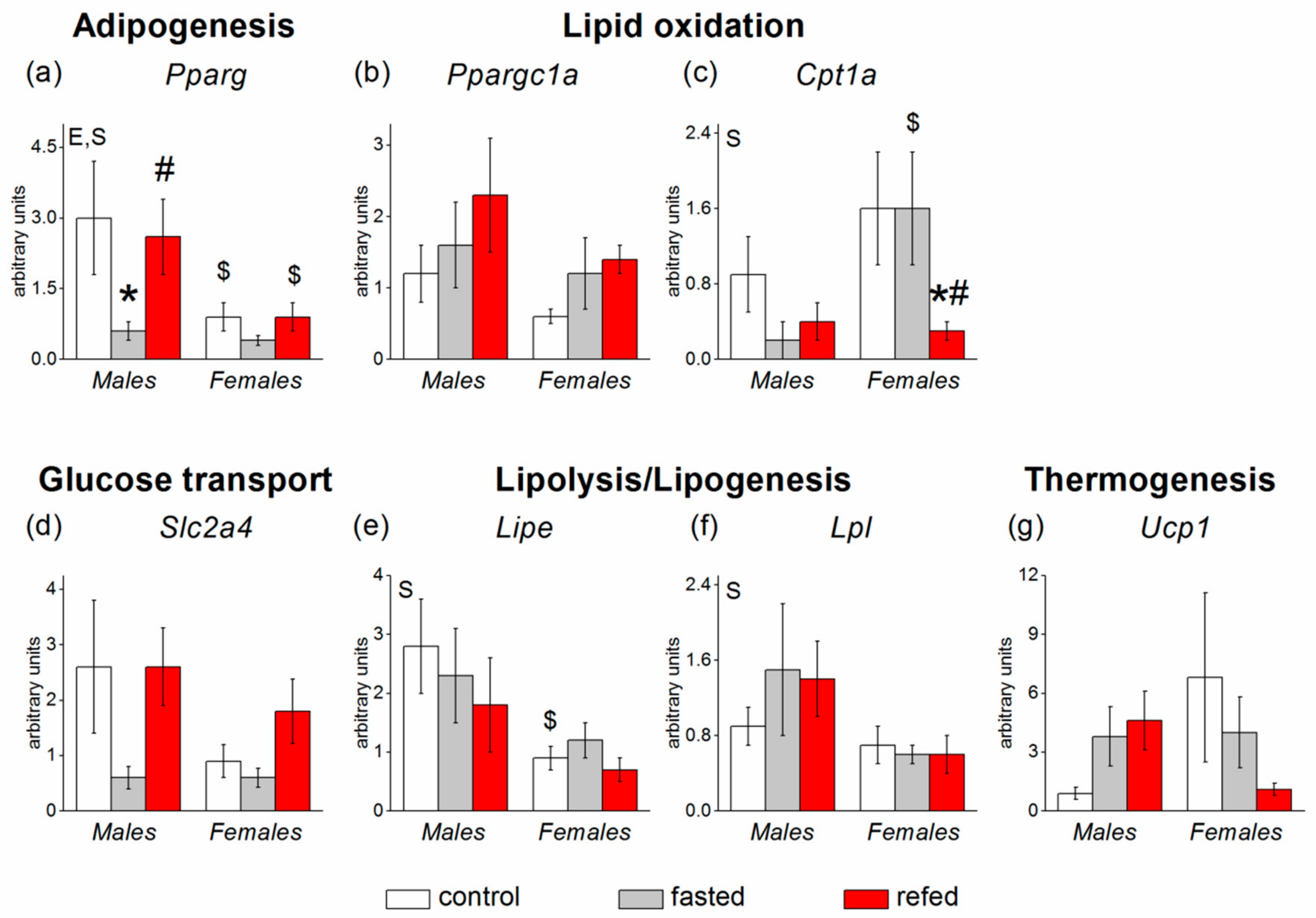 Cells 08 01529 g004 Cells 08 01529 g004