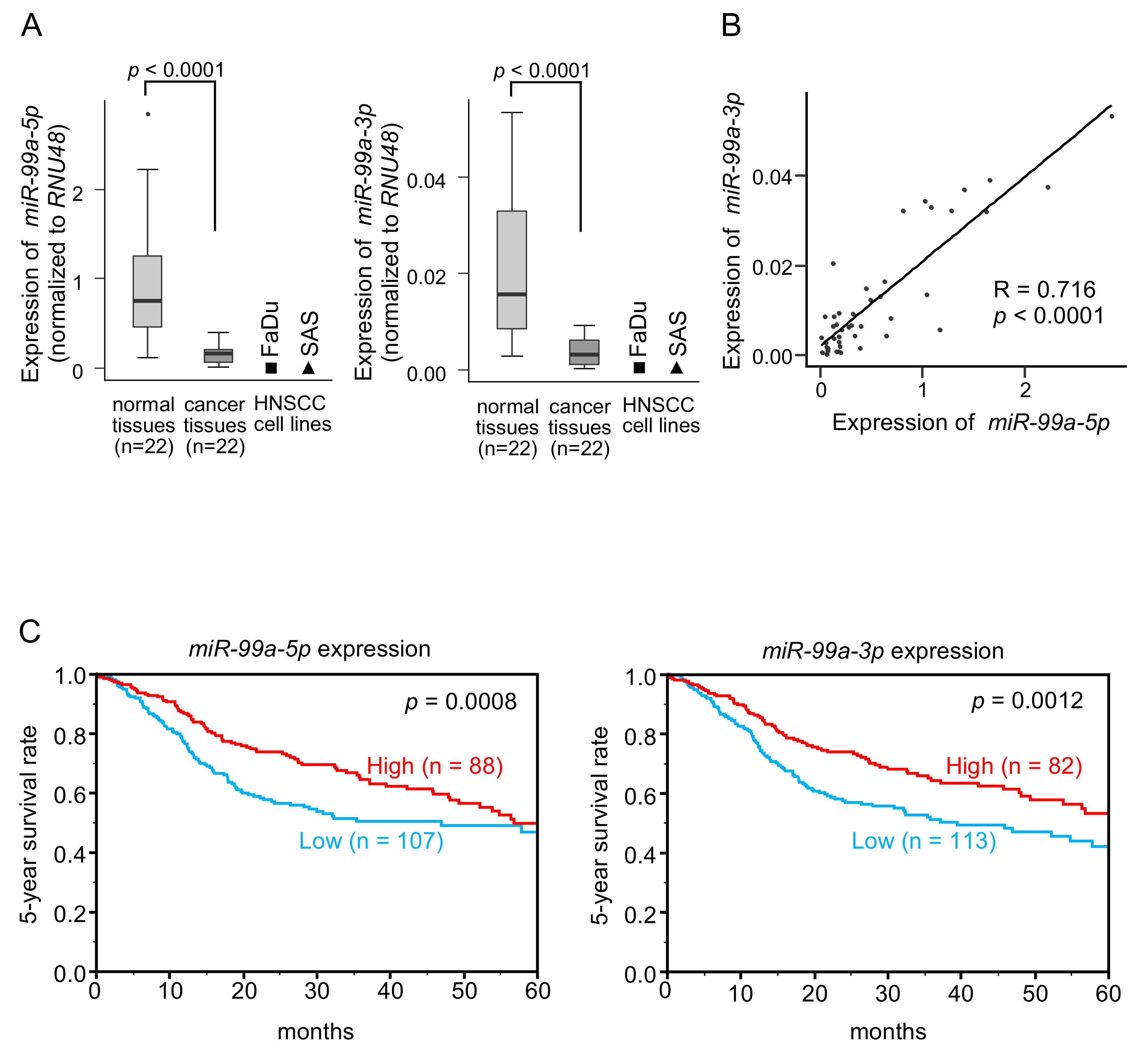 Cells 08 01535 g001 Cells 08 01535 g001