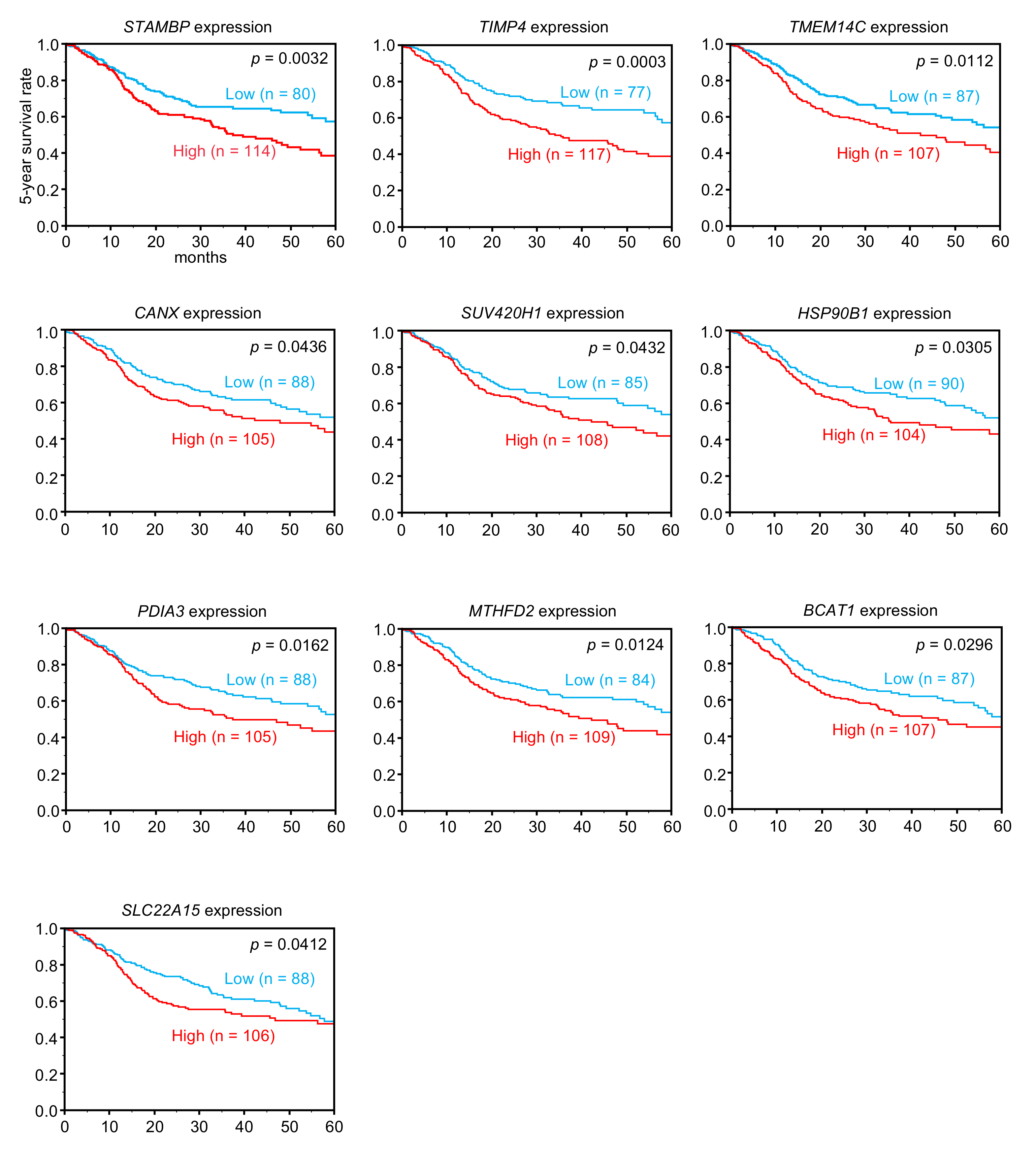 Cells 08 01535 g003 Cells 08 01535 g003