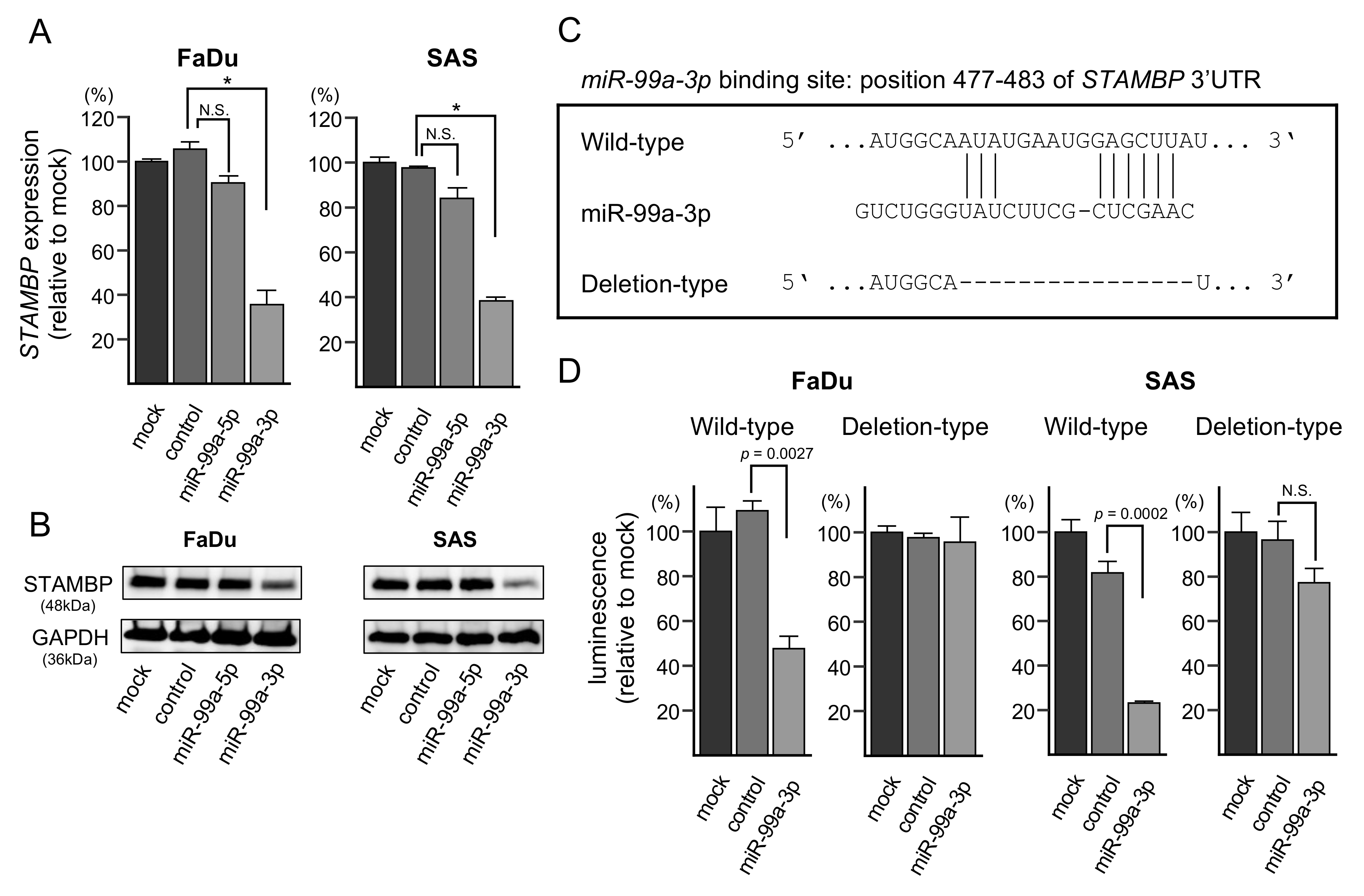 Cells 08 01535 g005 Cells 08 01535 g005