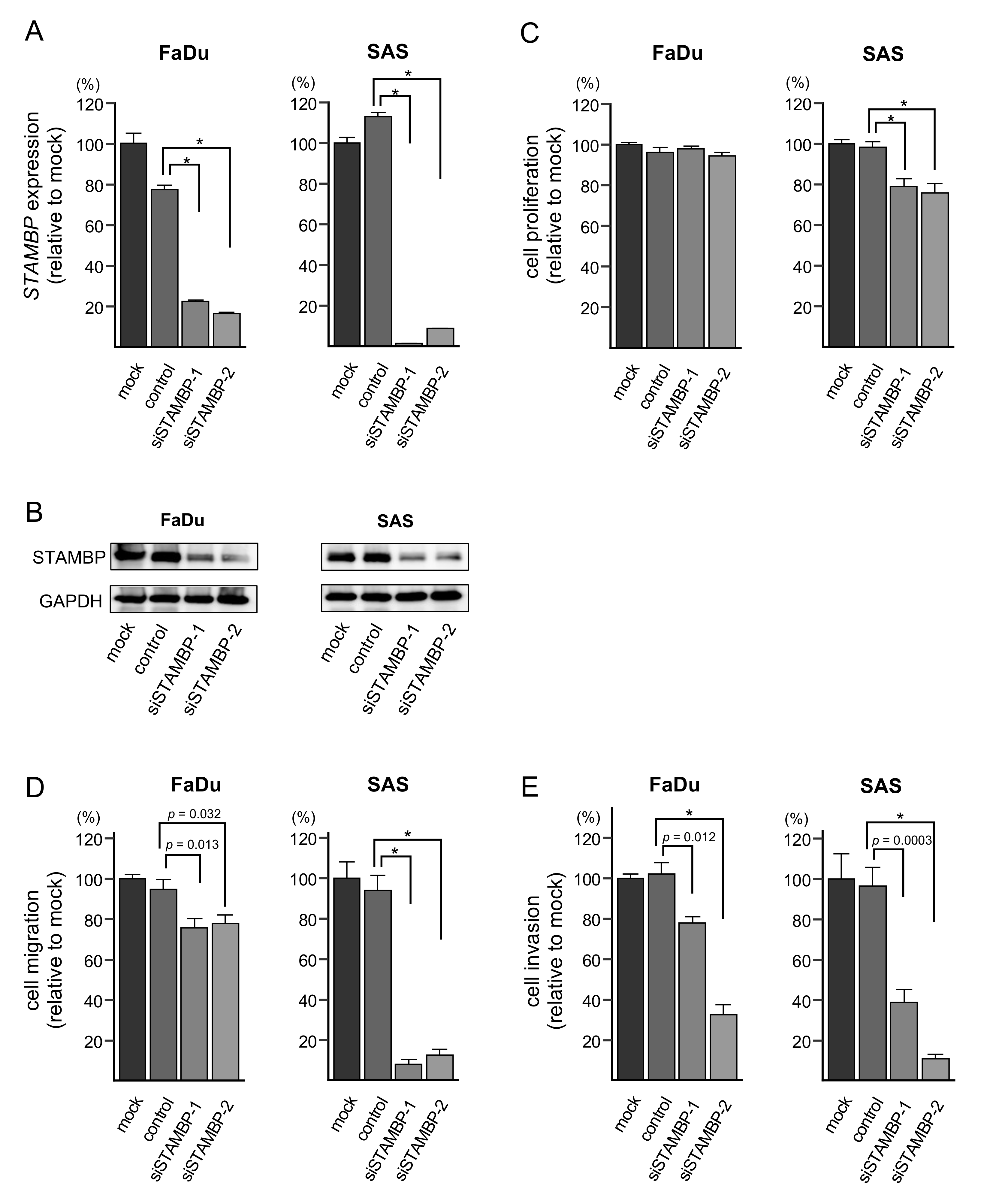 Cells 08 01535 g006 Cells 08 01535 g006