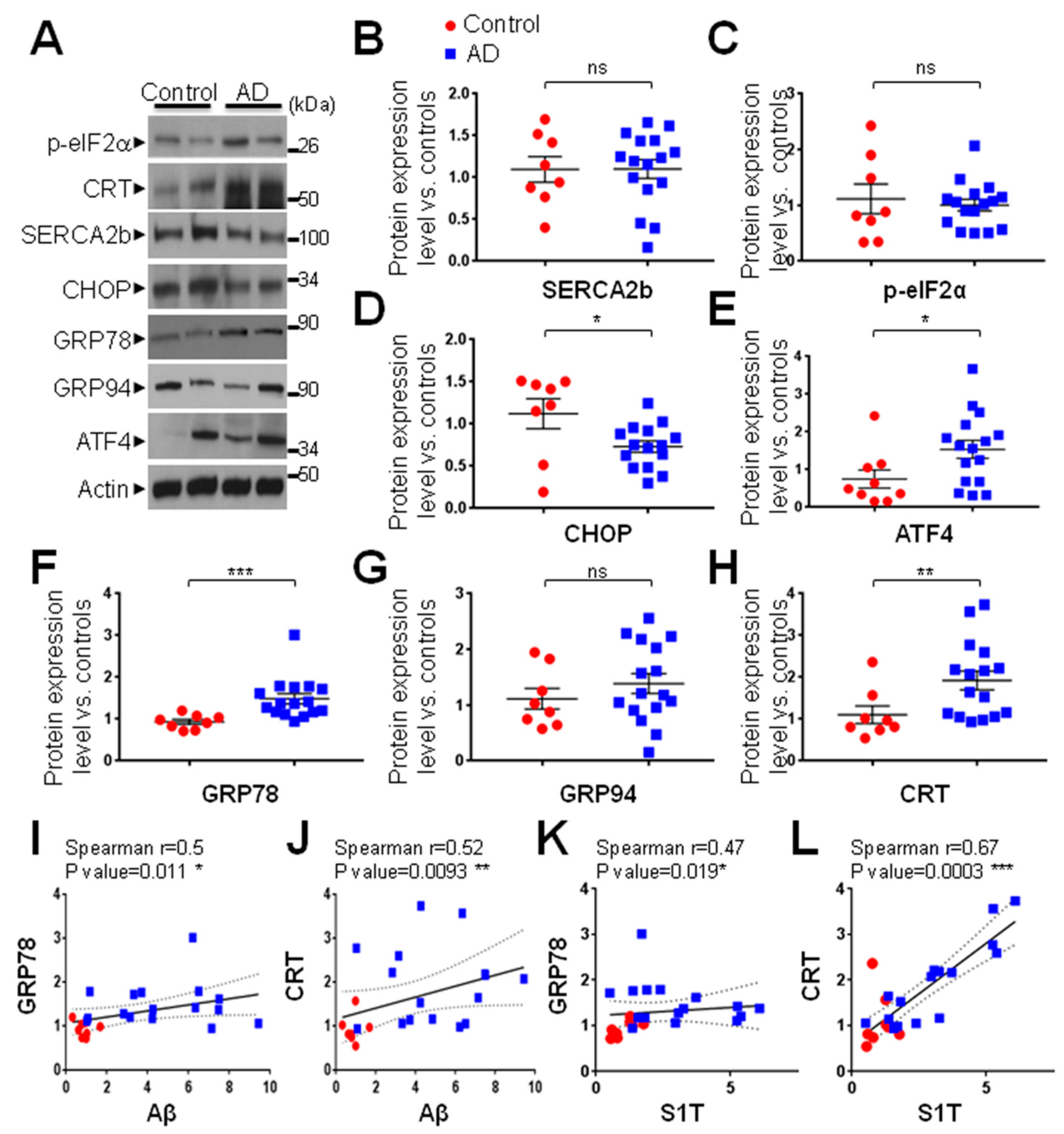 Cells 08 01539 g002 Cells 08 01539 g002
