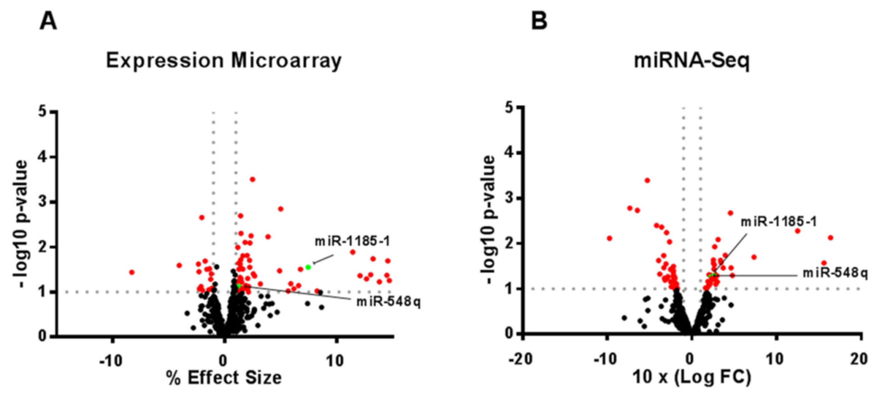 Cells 08 01548 g001 Cells 08 01548 g001