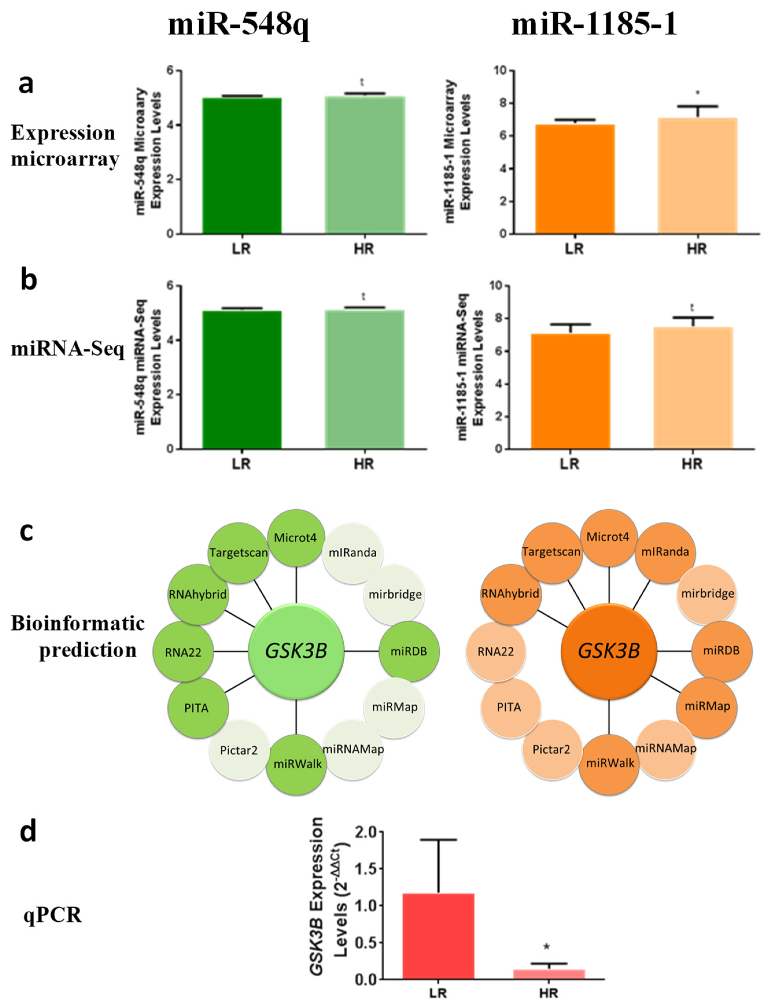 Cells 08 01548 g002 Cells 08 01548 g002