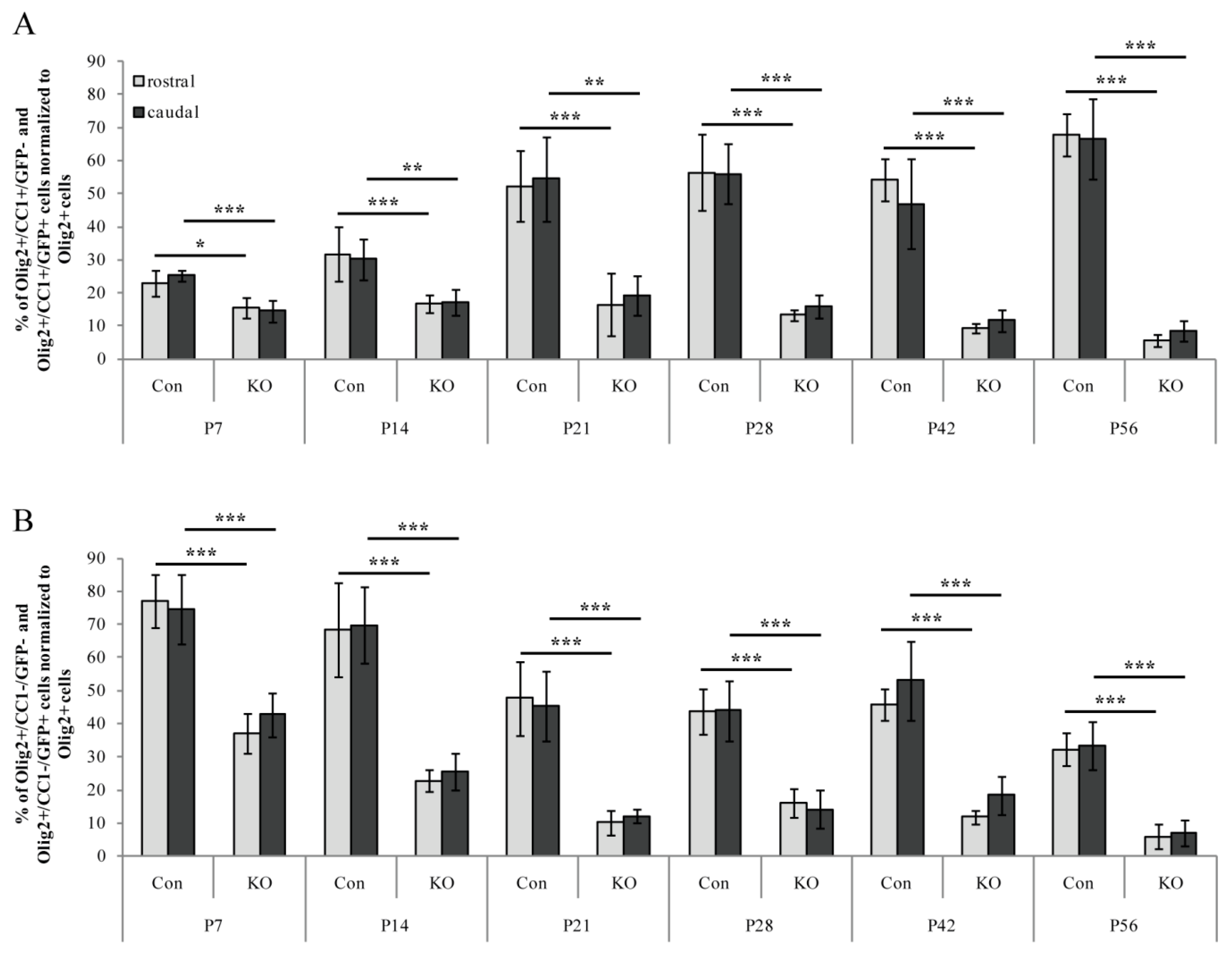 Cells 08 01550 g004 Cells 08 01550 g004