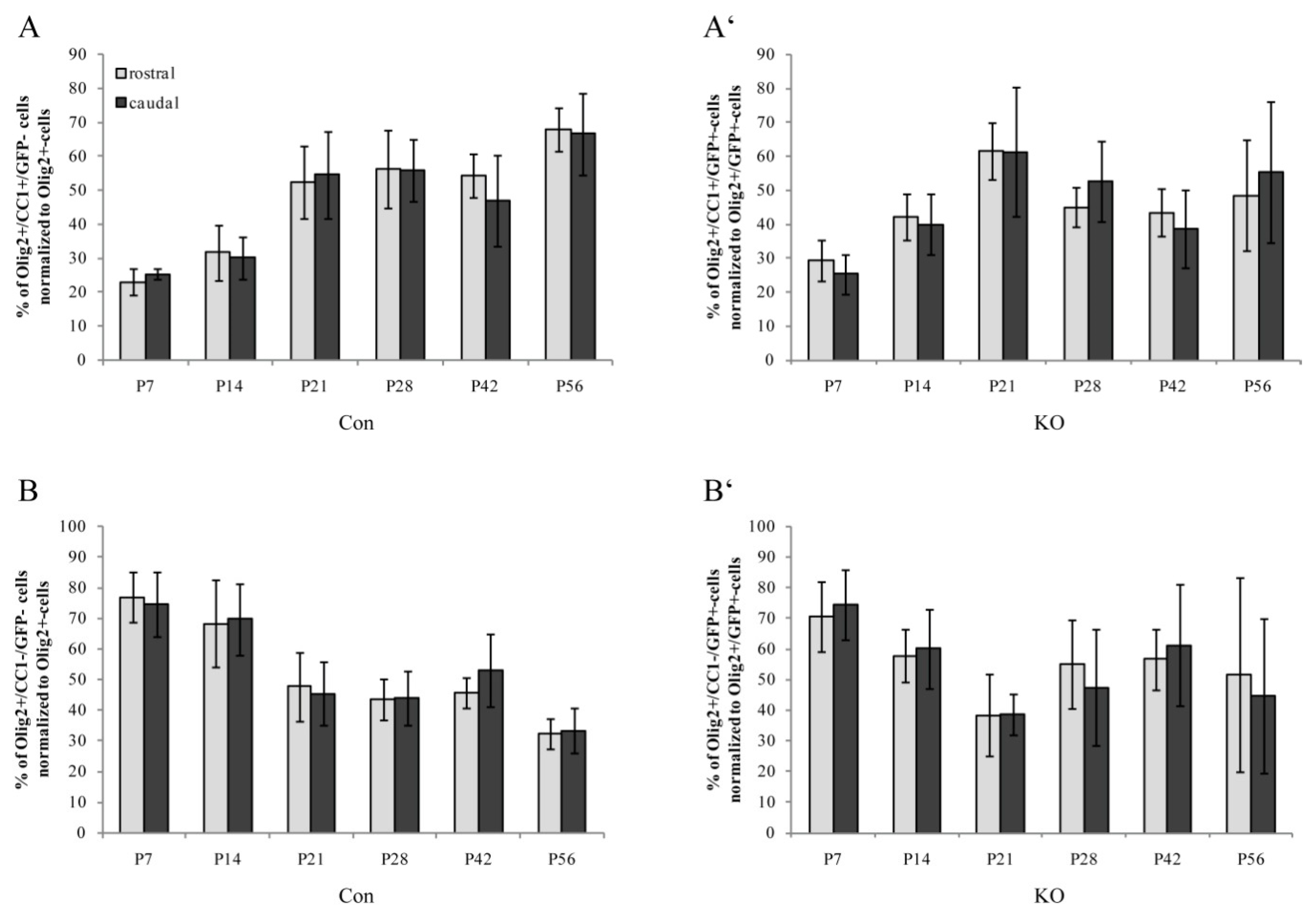 Cells 08 01550 g005 Cells 08 01550 g005