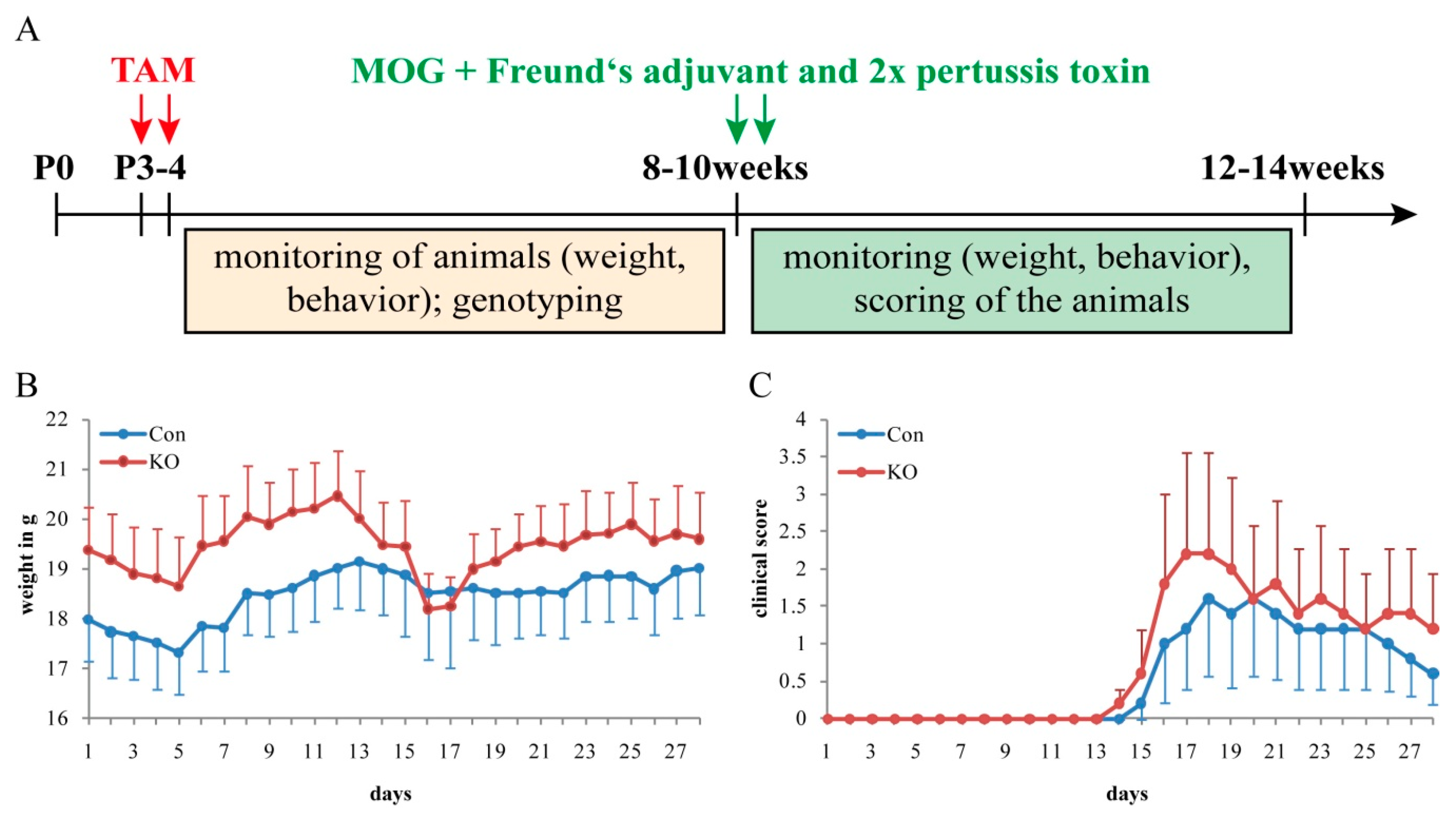 Cells 08 01550 g008 Cells 08 01550 g008