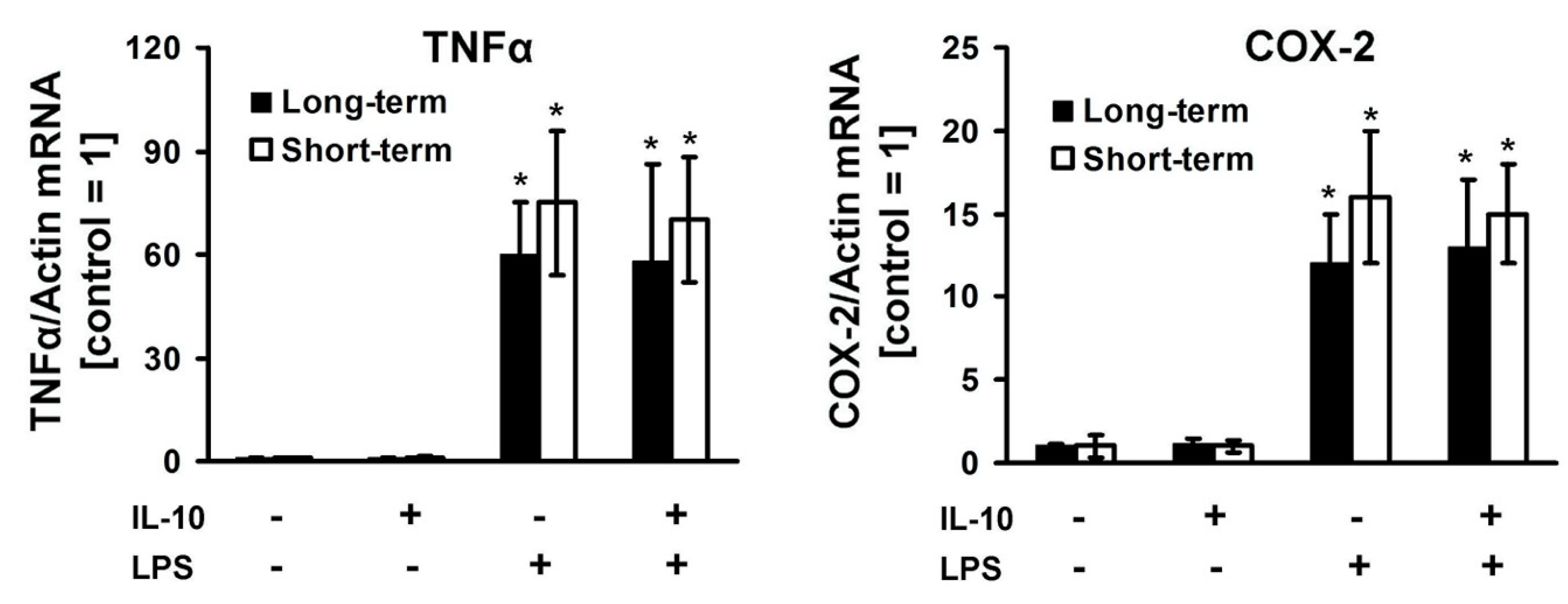 Cells 08 01553 g002 Cells 08 01553 g002