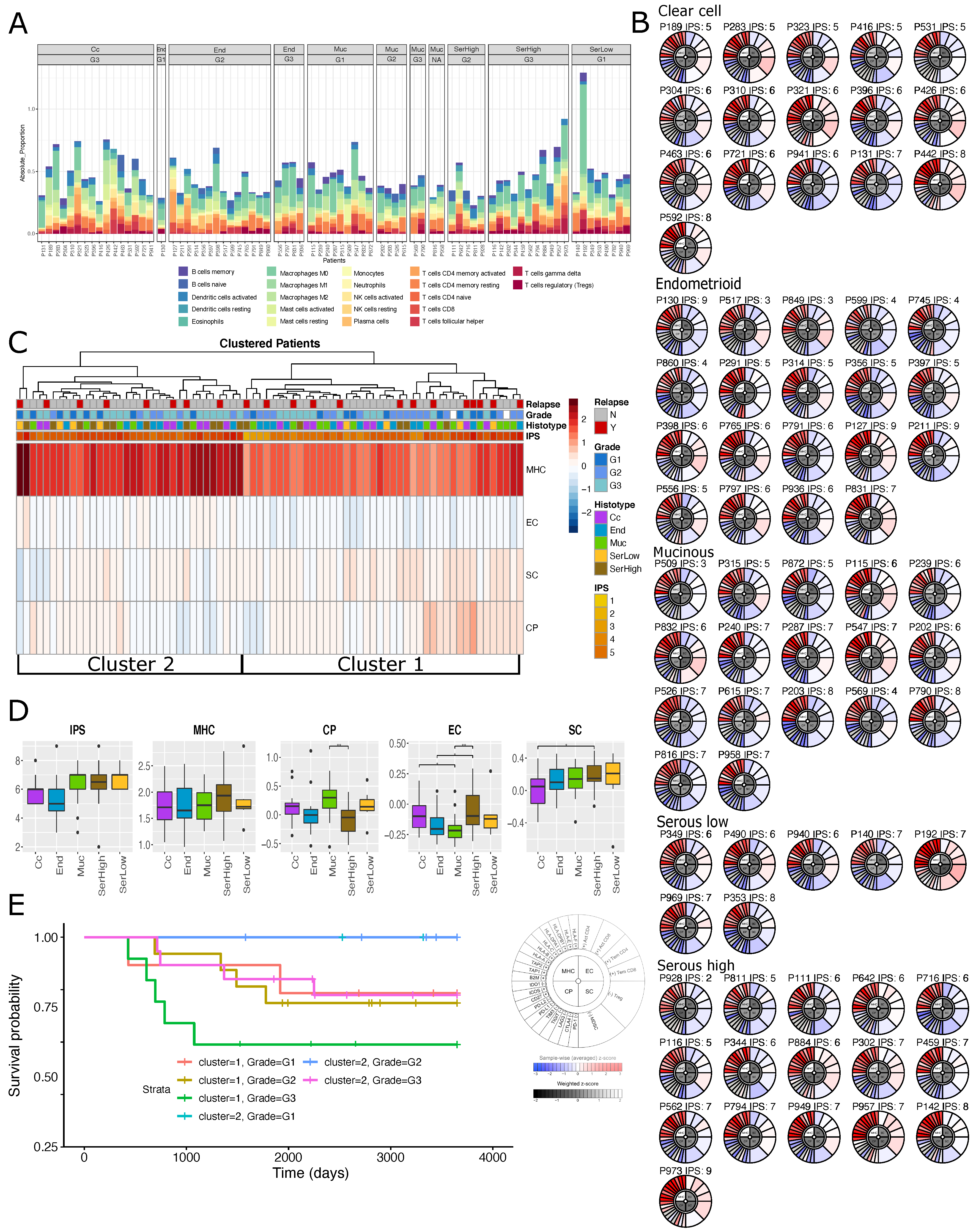 Cells 08 01554 g002 Cells 08 01554 g002
