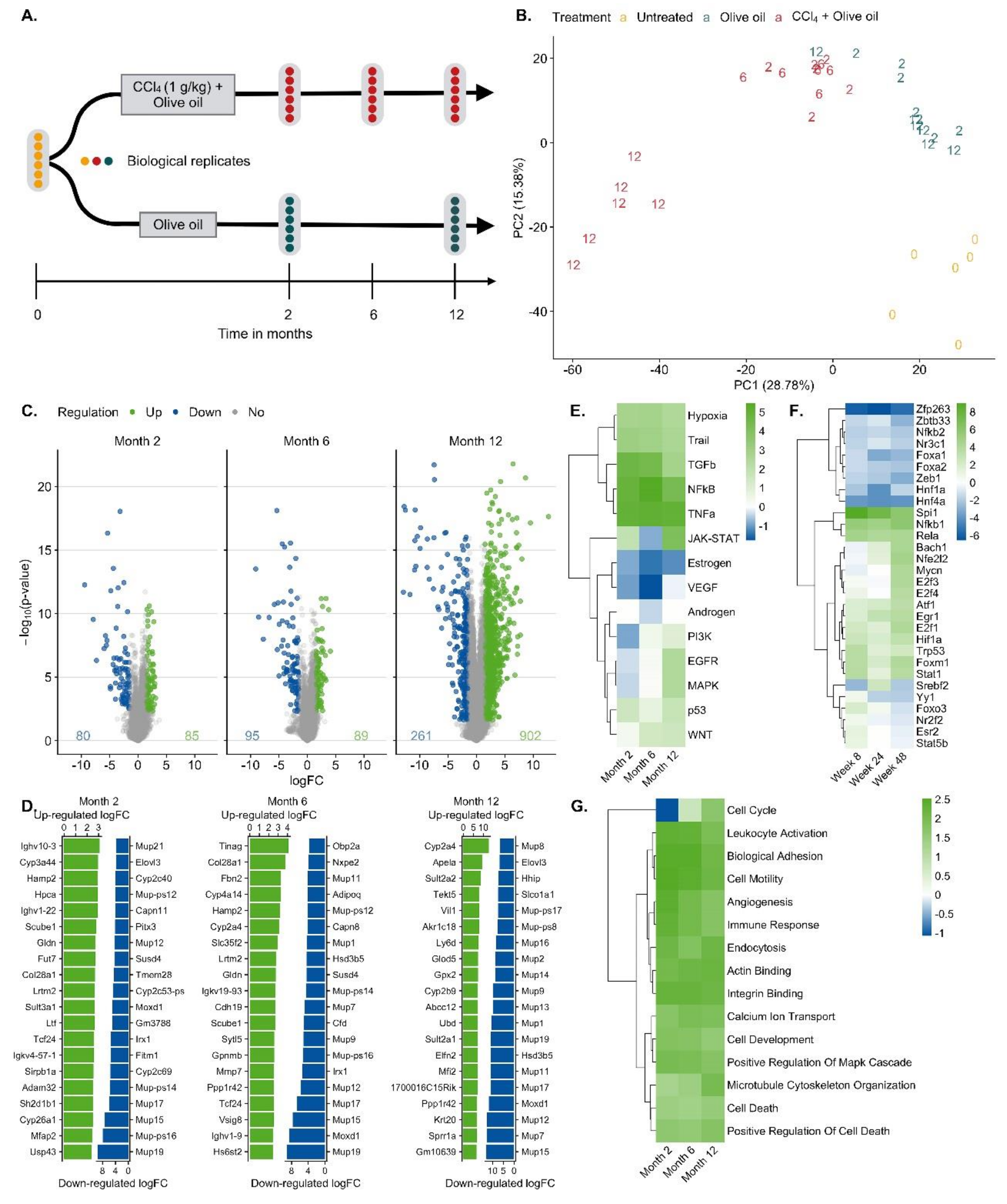 Cells 08 01556 g002 Cells 08 01556 g002