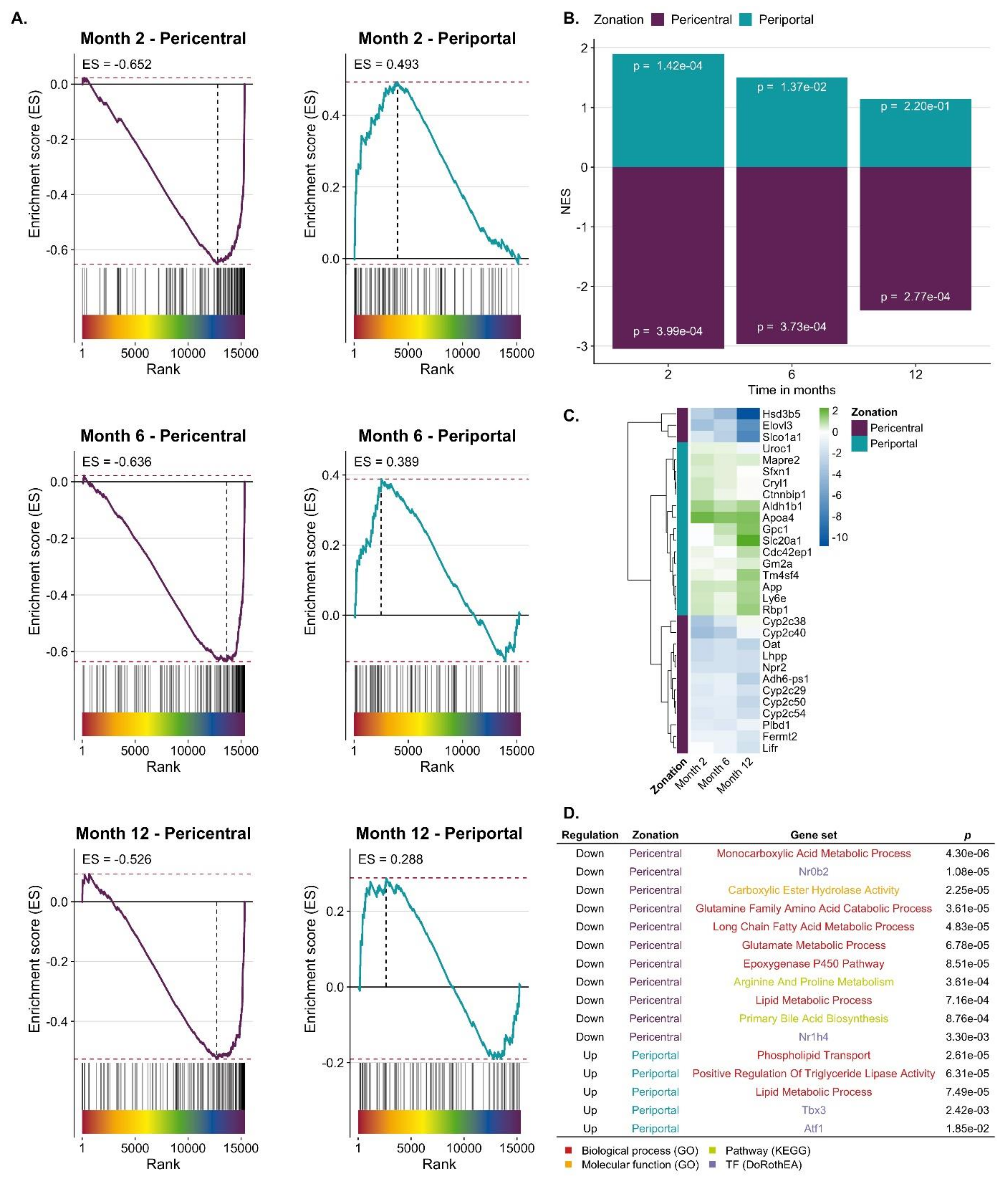 Cells 08 01556 g003 Cells 08 01556 g003