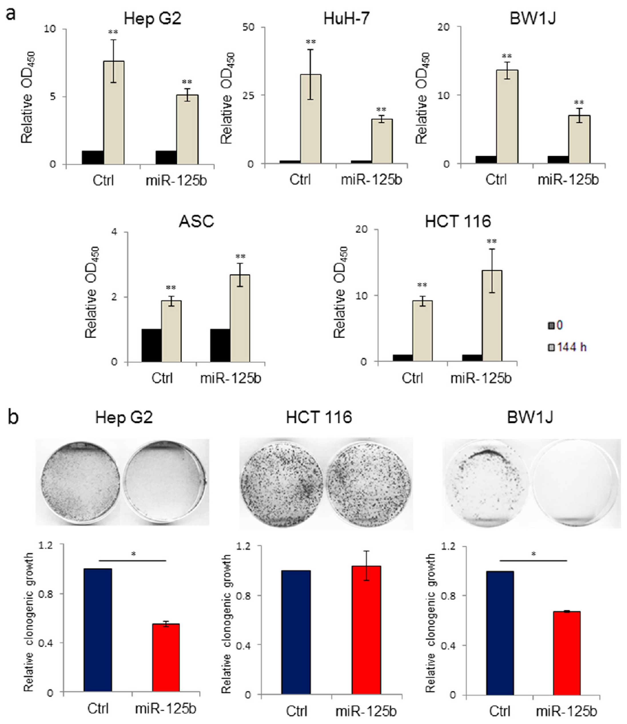 Cells 08 01560 g002 Cells 08 01560 g002