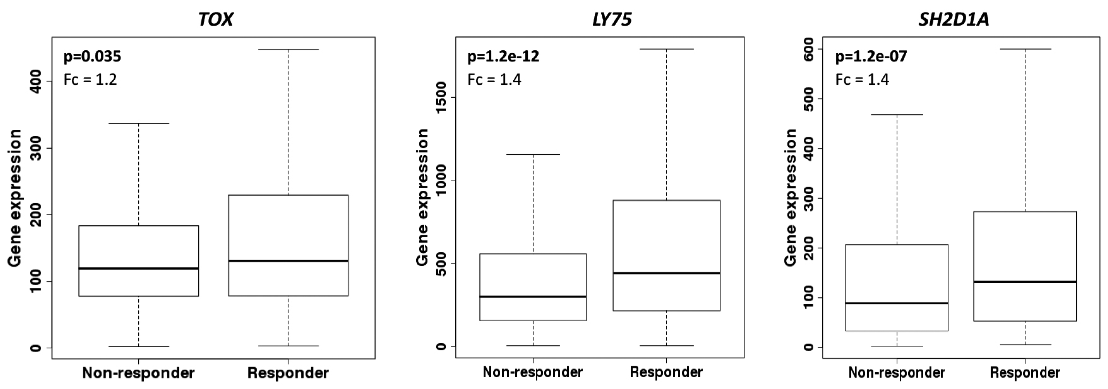 Cells 08 01566 g004 Cells 08 01566 g004