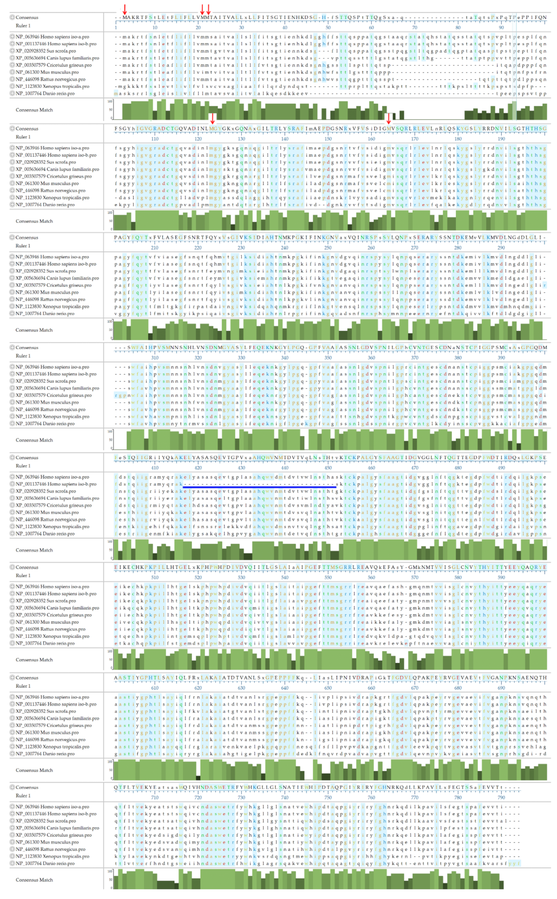 Cells 08 01573 g003 Cells 08 01573 g003