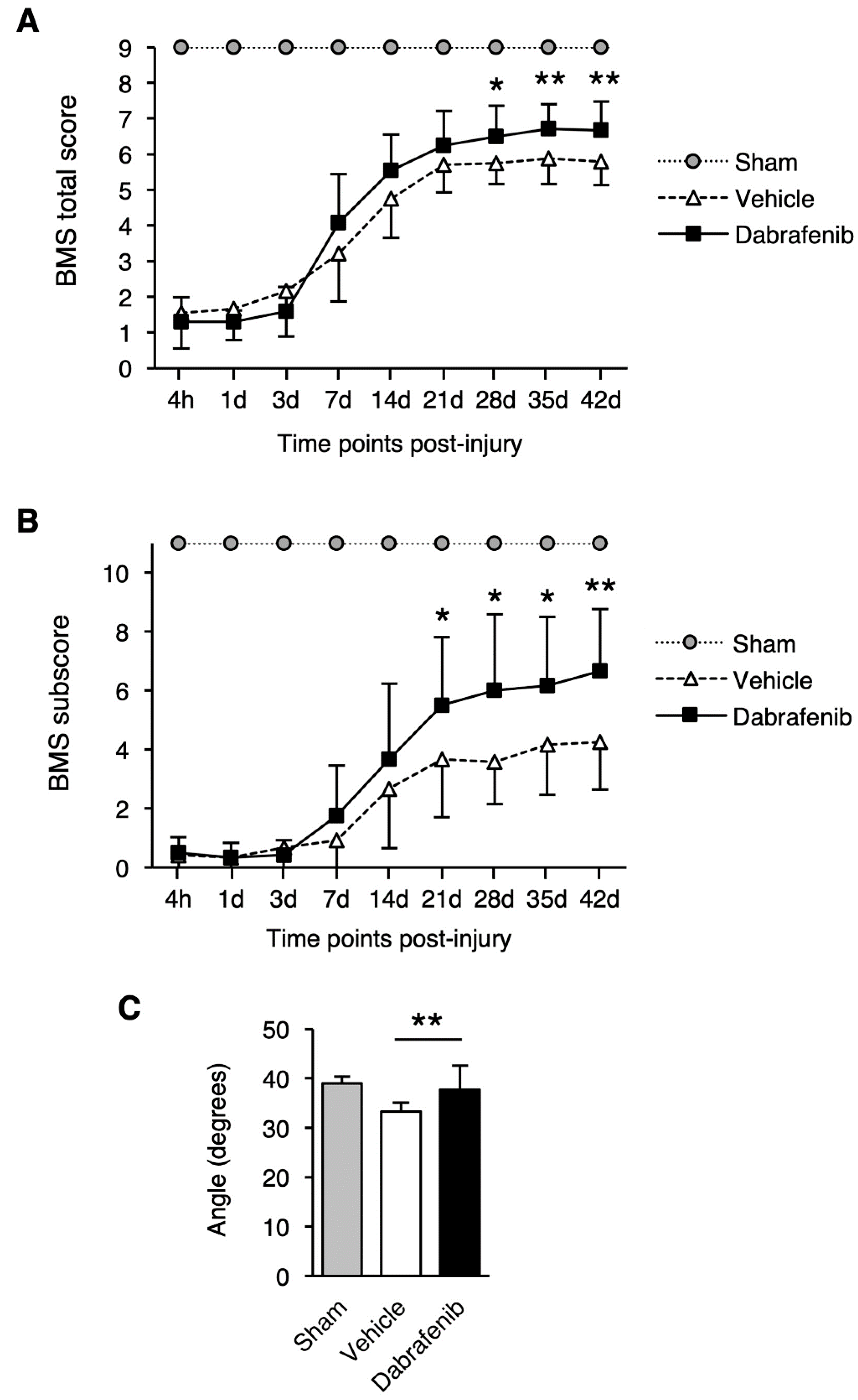 Cells 08 01582 g001 Cells 08 01582 g001