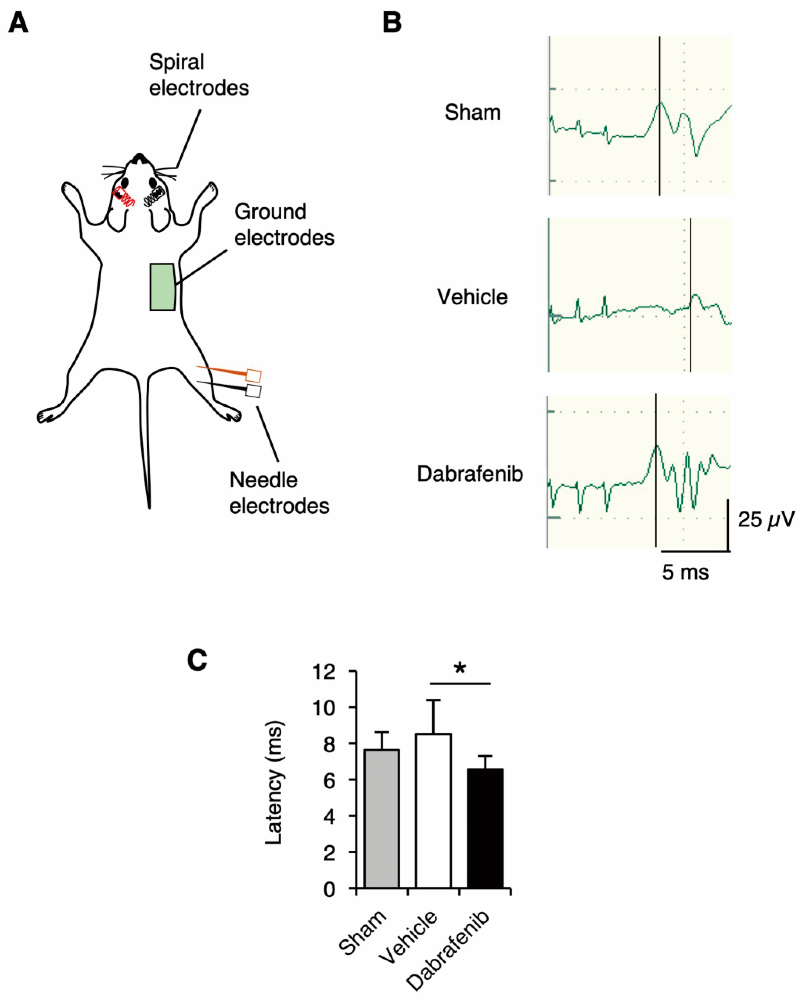 Cells 08 01582 g009 Cells 08 01582 g009